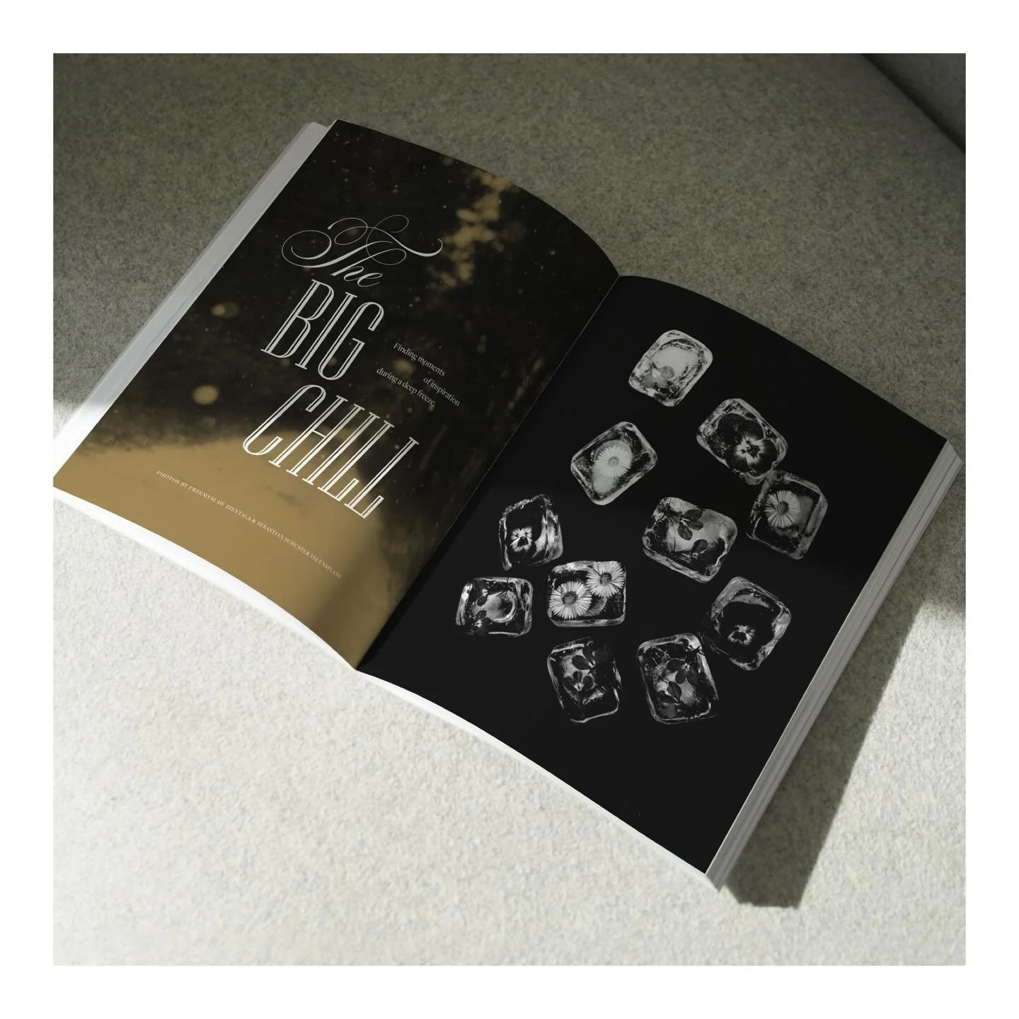 Moments of inspiration during a deep freeze. 𝘗𝘩𝘰𝘵𝘰𝘴 𝘣𝘺 𝘗𝘳𝘻𝘦𝘮𝘺𝘴𝘭𝘢𝘸 𝘡𝘪𝘦𝘯𝘵𝘢𝘭𝘢 &amp; 𝘚𝘦𝘣𝘢𝘴𝘵𝘪𝘢𝘯 𝘚𝘤𝘩𝘶𝘴𝘵𝘦𝘳 𝘷𝘪𝘢 𝘜𝘯𝘴𝘱𝘭𝘢𝘴𝘩. ❅