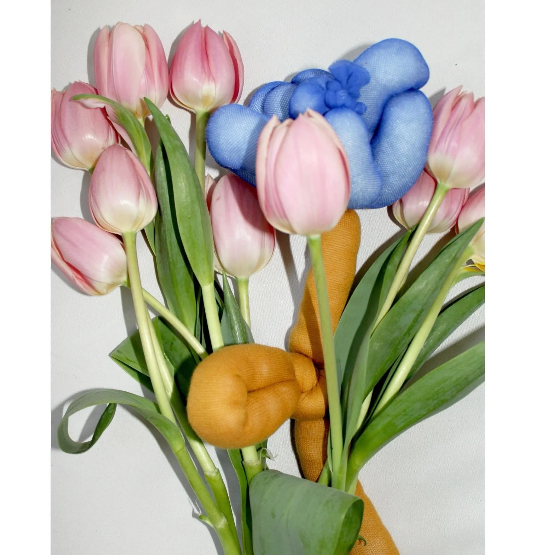 May flowers, beautiful local tulip bouquet by @coloradoaveblooms !