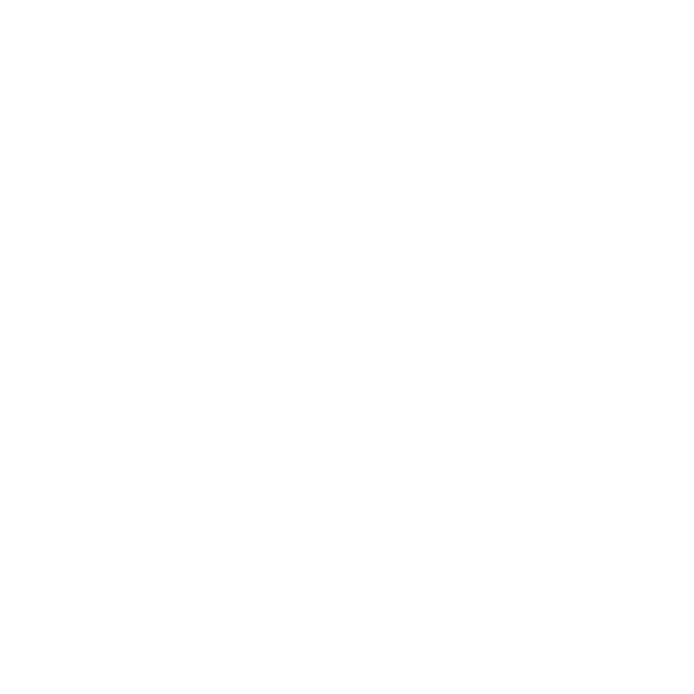 VICTORIA_SECRET_Orange-Kite-Studios-Clients-Logos-2025.png