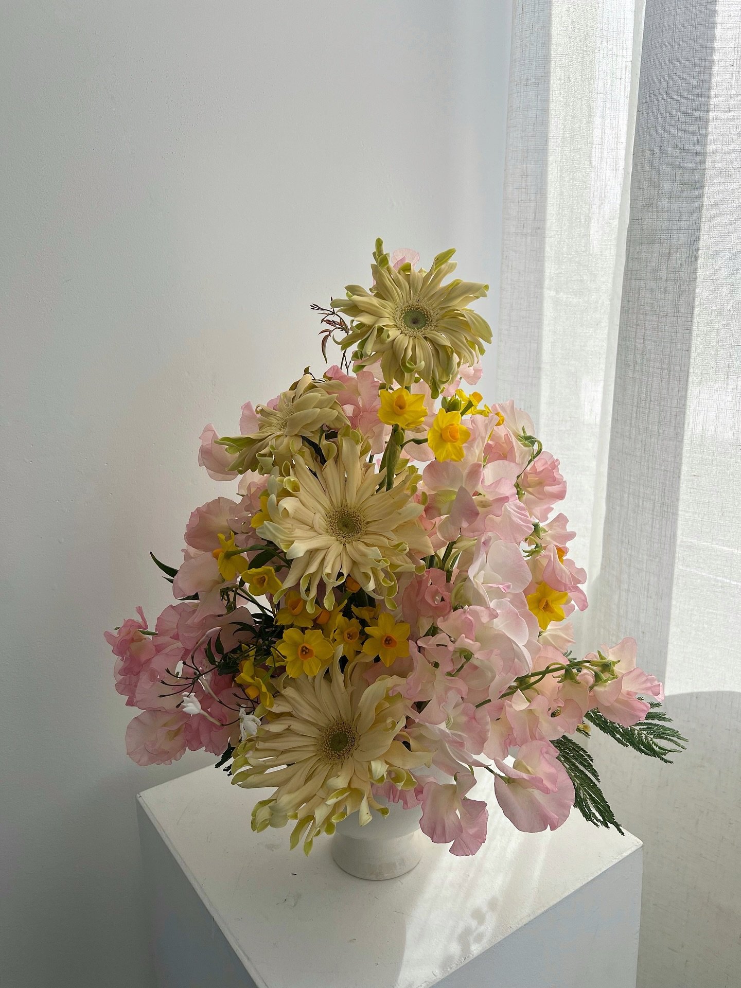 all i do is yearn for spring🍧🌝