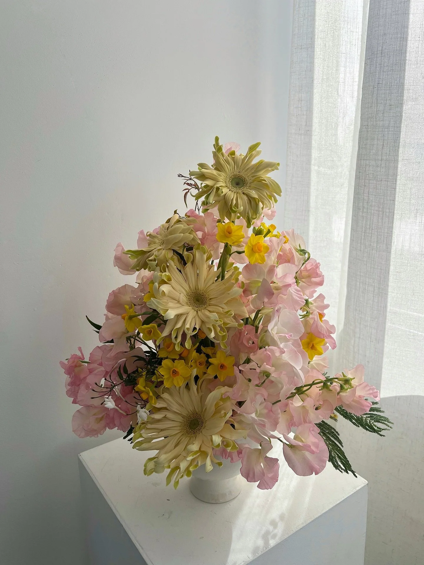 all i do is yearn for spring🍧🌝