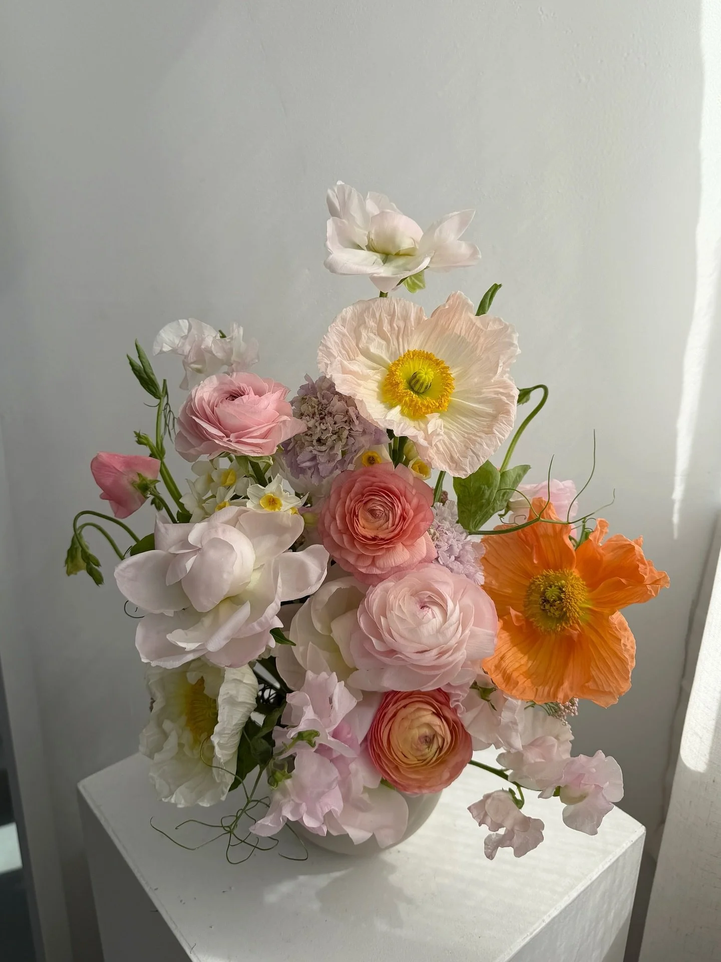 big sweetie alert!🌼⚠️