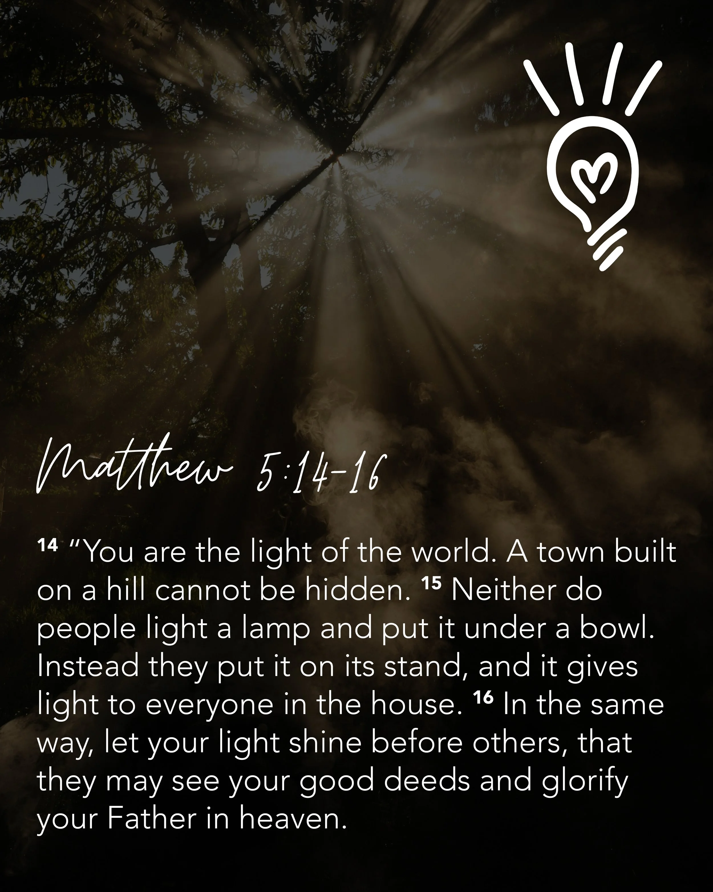 SYLT Social Post_Matthew 5-14-16.jpg