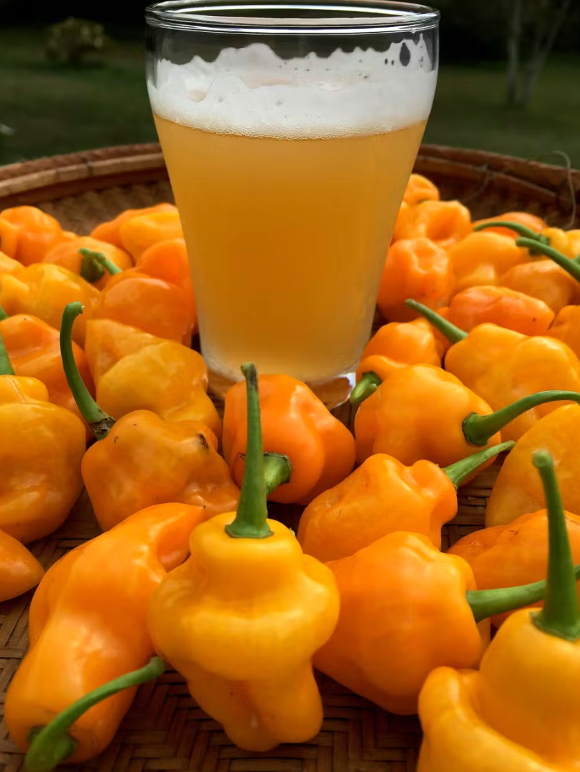 Screenshot 2023-06-18 at 10.22.52 AM.png