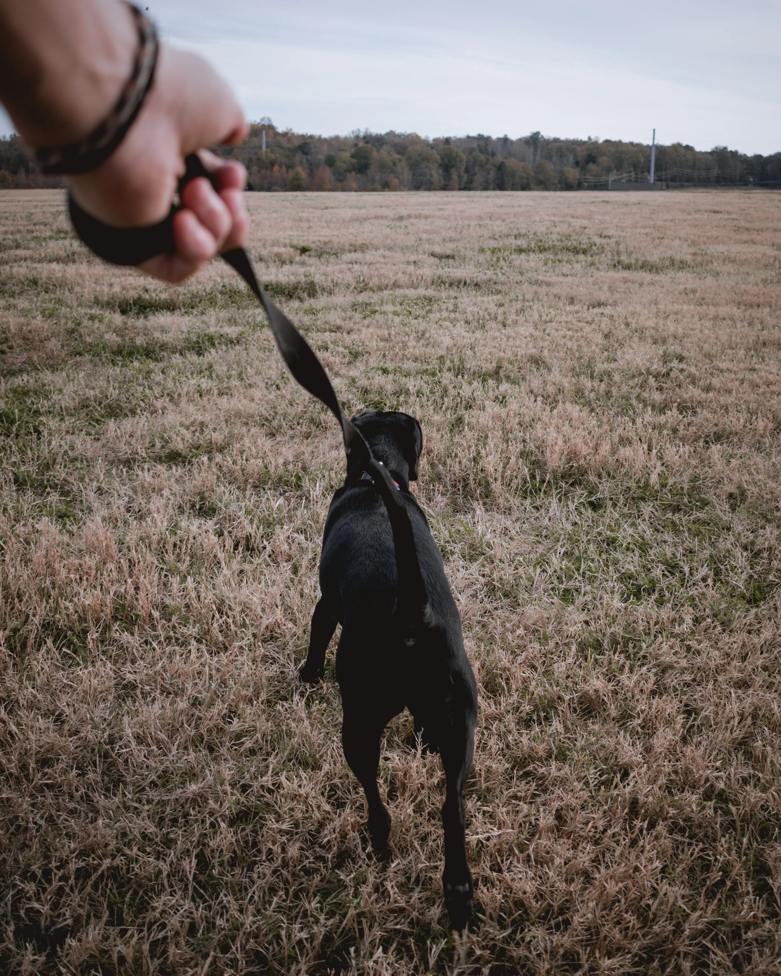 jordon-conner-sjYKio1FfZw-unsplash.jpg