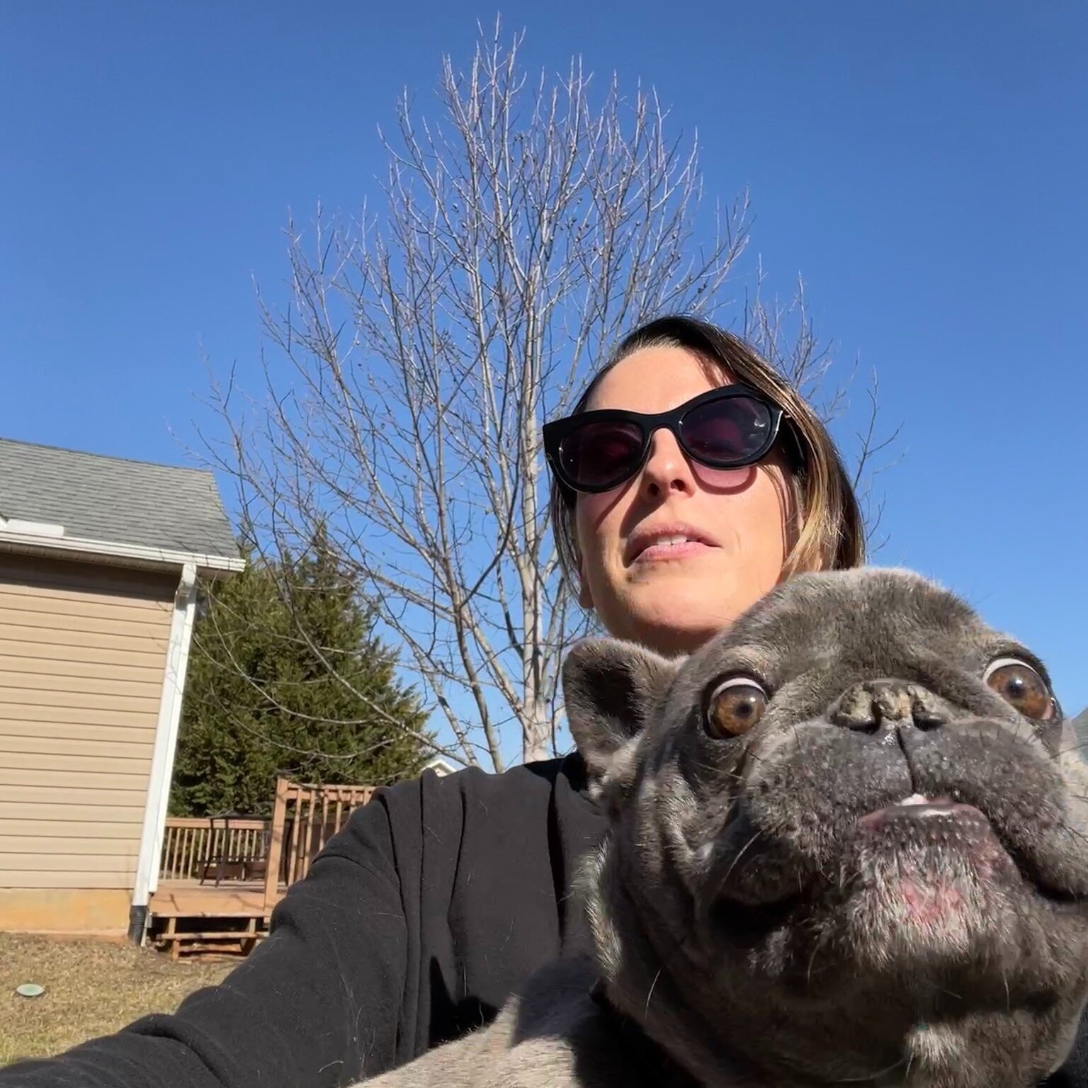 It's Furry Friday!

Please enjoy these hilarious selfies with @barry.thebluefrenchie and all of his different facial expressions. There is never a dull moment with this one. 
.
.
.
.
.
.
.
#asheville #ashevillenc #ashevillpetcare #ashevilledogs #ashe