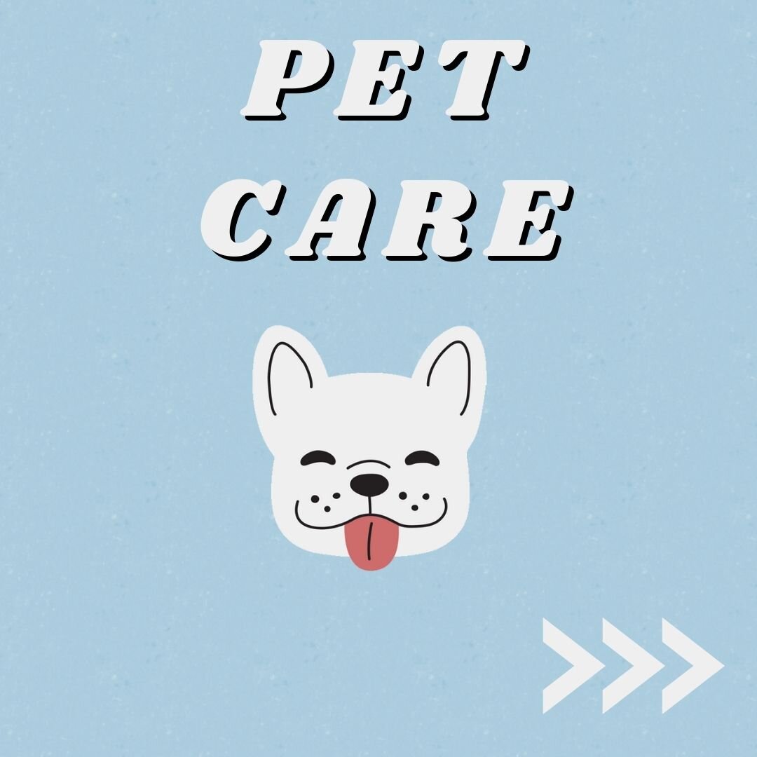 Interested in our pet care services? Here is a little refresher on what we offer. 

Make sure to swipe to the last slide for a special offer! 💡
.
.
.
.
.
.
.
.
#asheville #ashevilleconcierge #ashevilledogs #ashevillepetsitter #ashevillelocal #ashevi