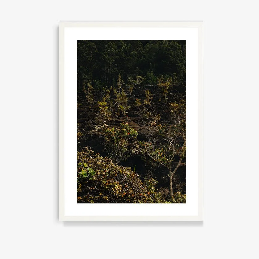 Mauna Loa #2