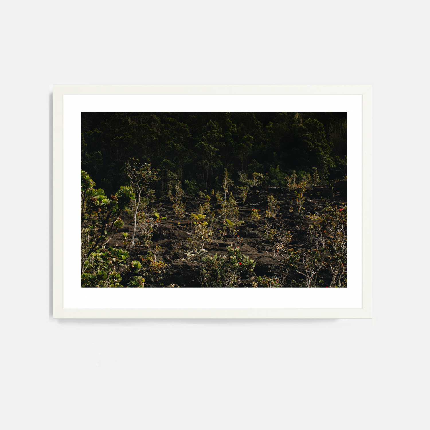 Mauna Loa #1