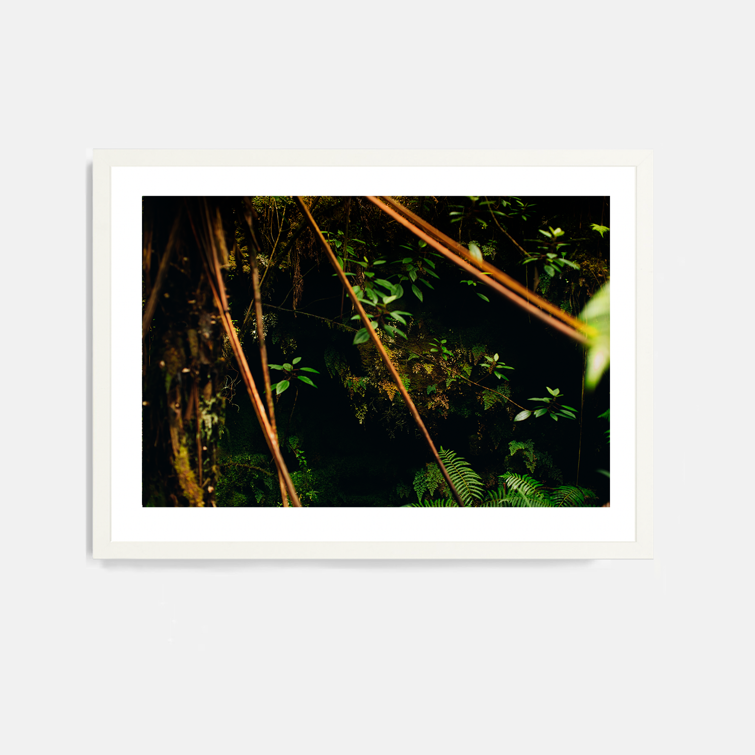 Mauna Loa #3