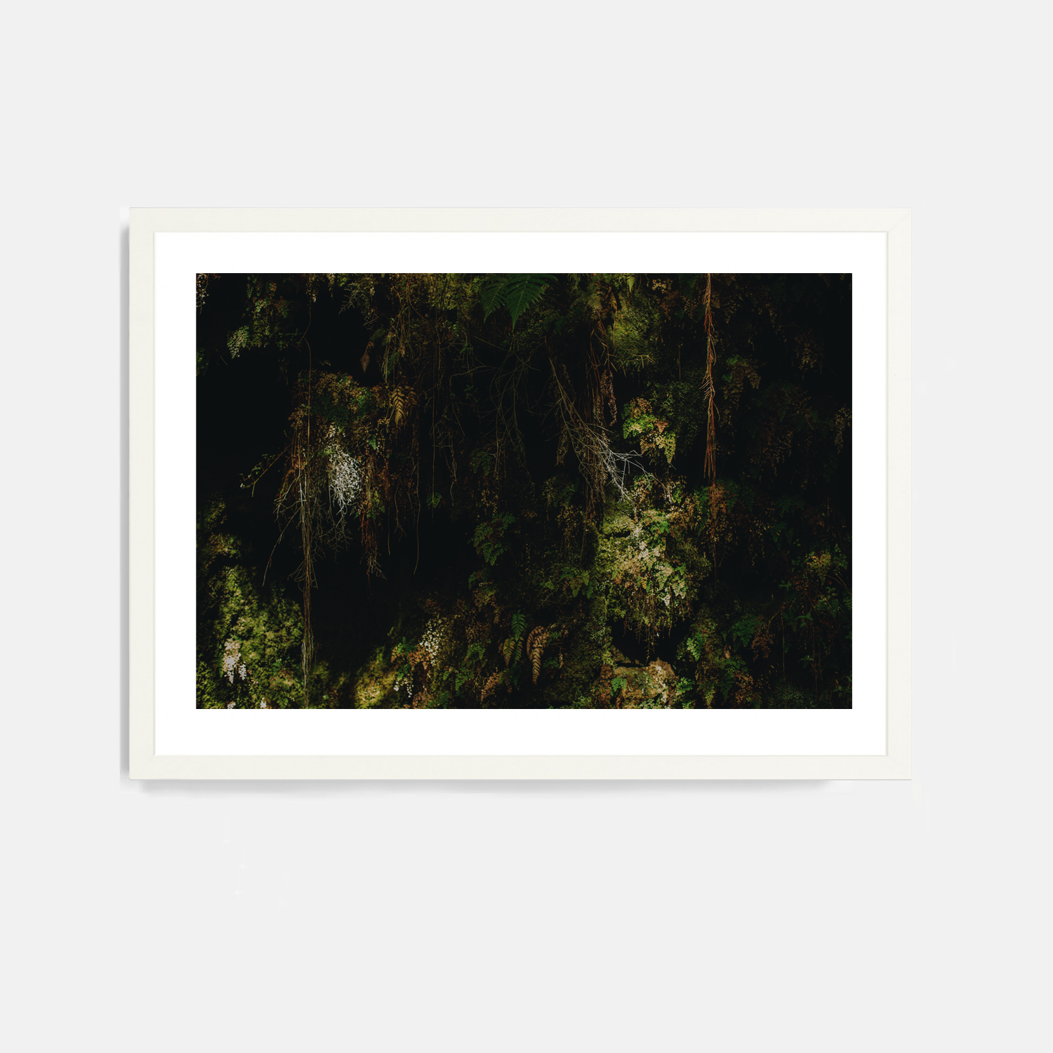 Mauna Loa #4