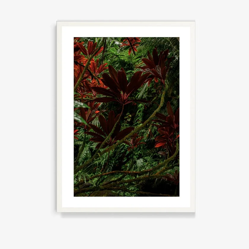 Mauna Loa #15