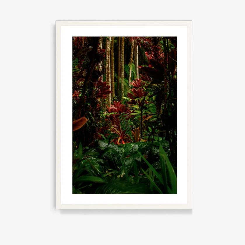 Mauna Loa #14