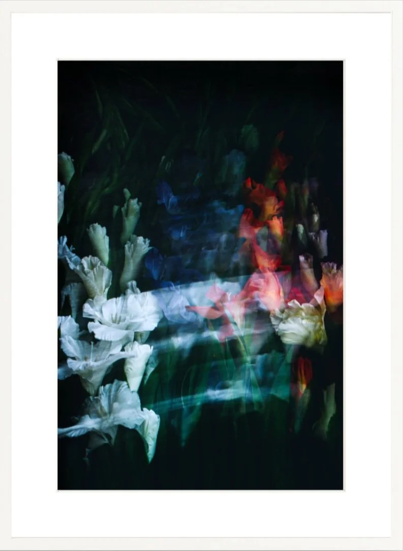 allisonwatkins-photography-flowersforcinema-gladiolus-no-1-whiteframe.jpg