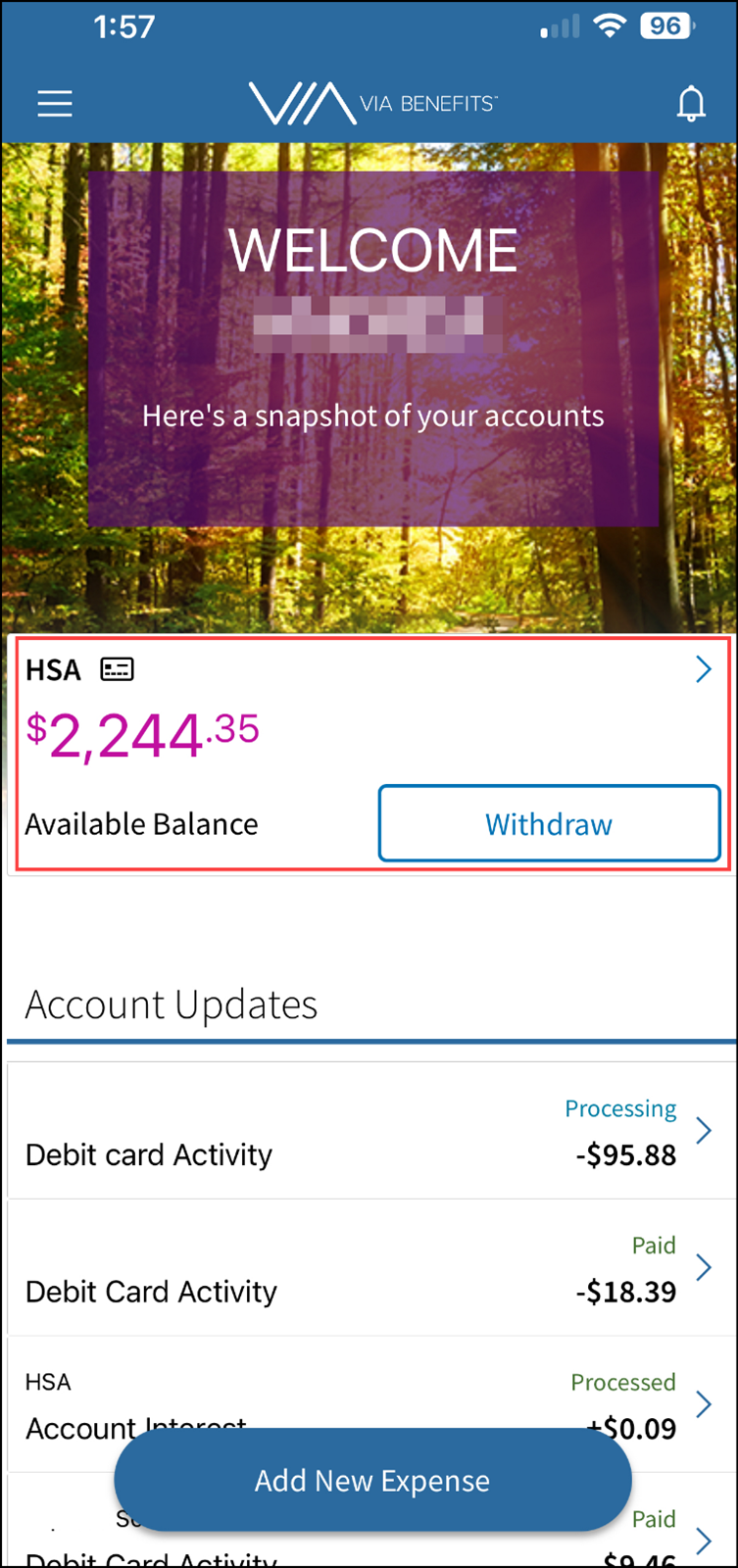 A screenshot of the Via Benefits Accounts mobile app home page