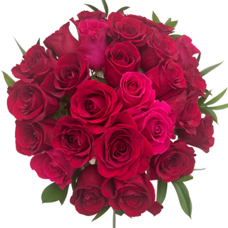 The Flower Girl Deluxe