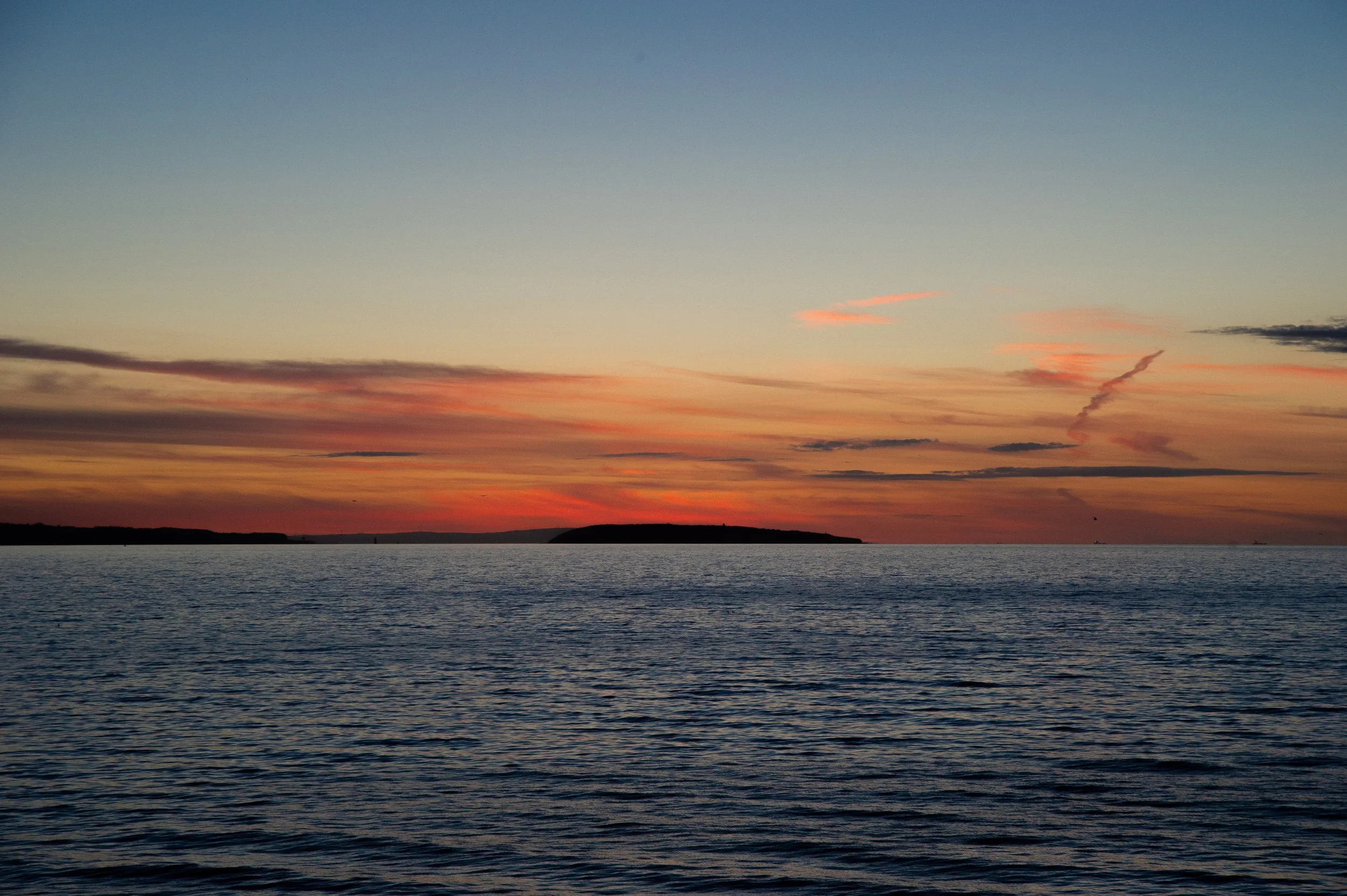 DSC_5236.jpg