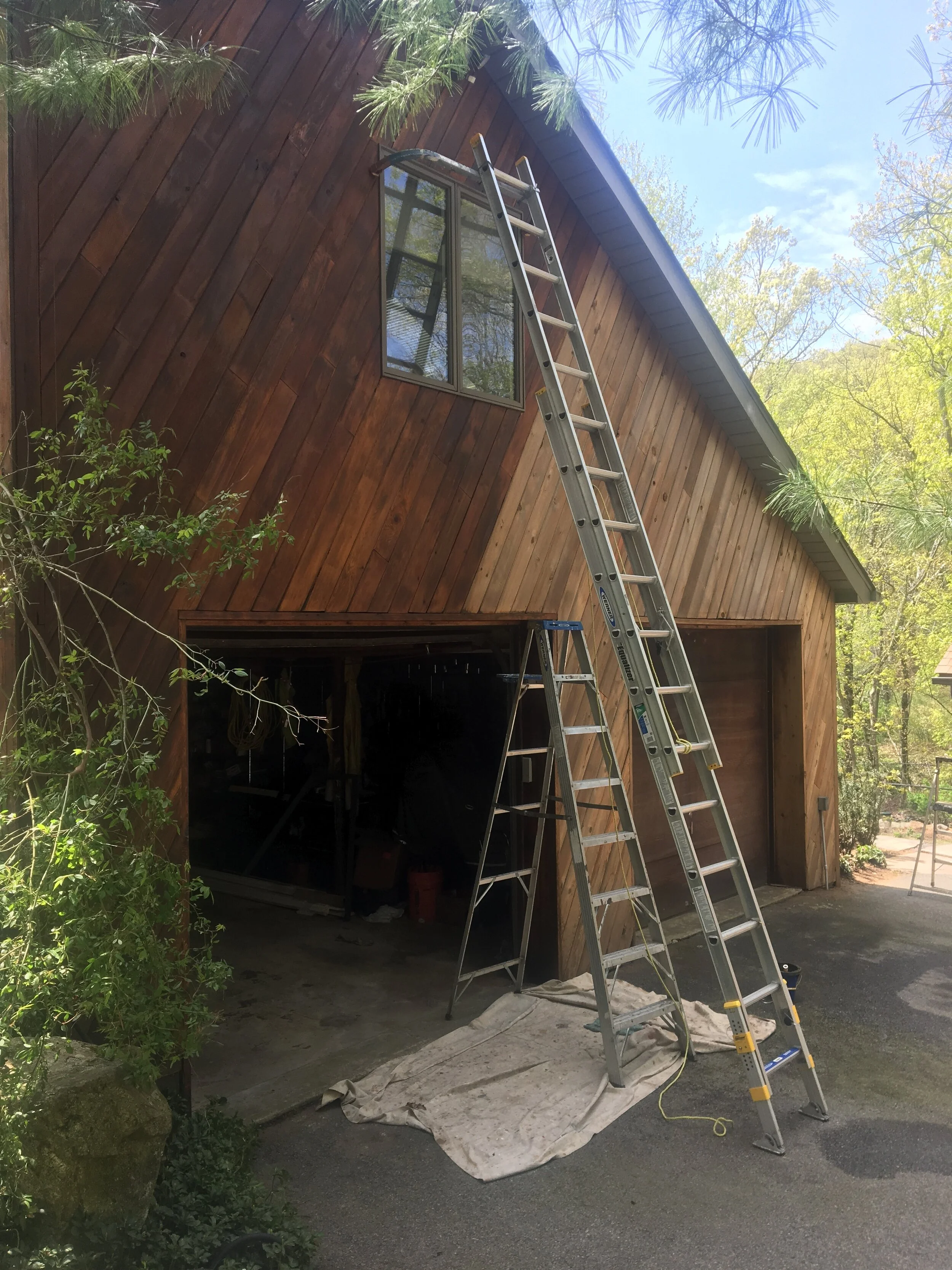 Ladders leaning against a wooden house with a large window, with trees and blue sky in the background.