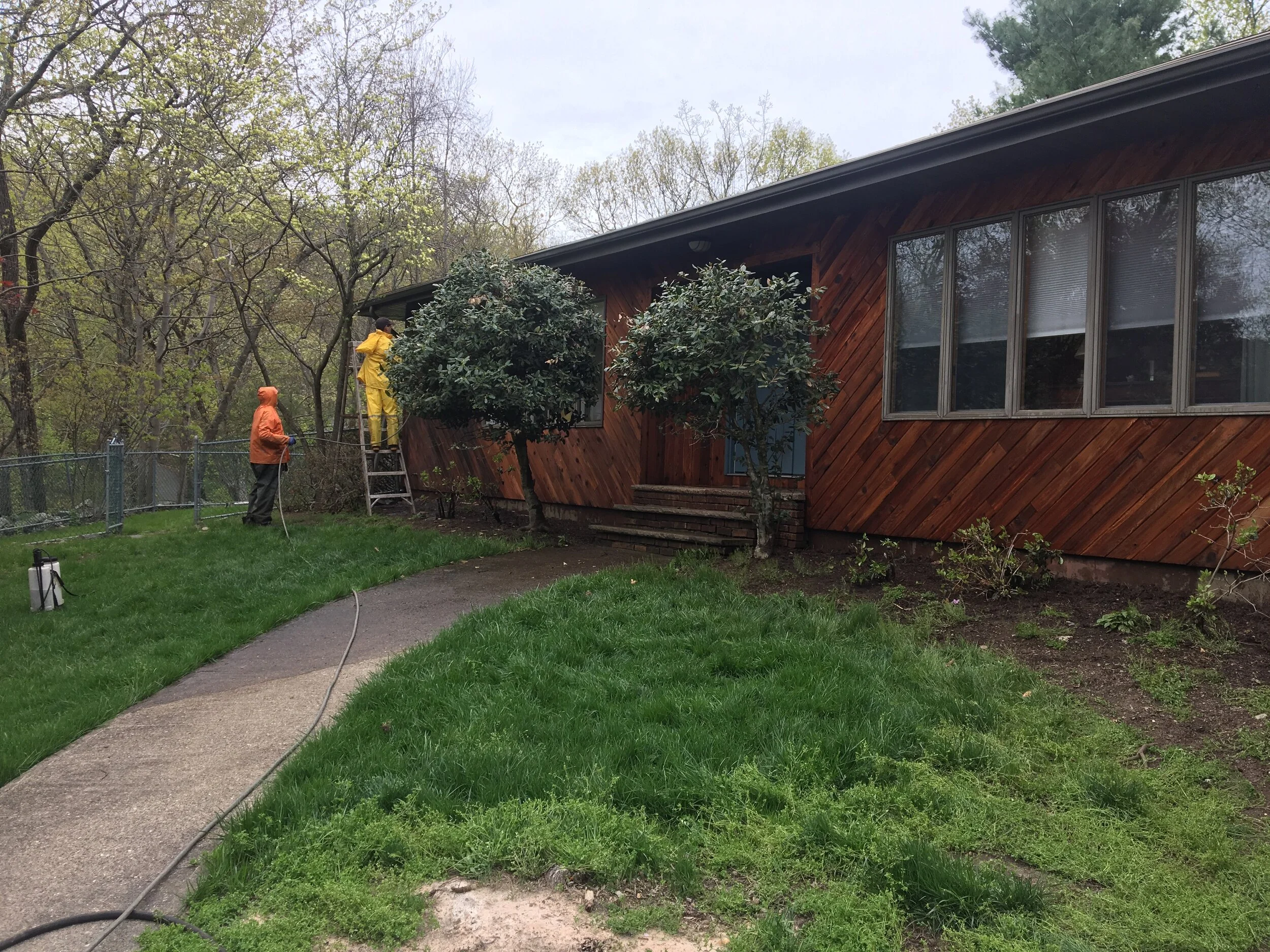 Two workers in rain gear watering and trimming plants in front of a wooden house with large windows, on a cloudy day.