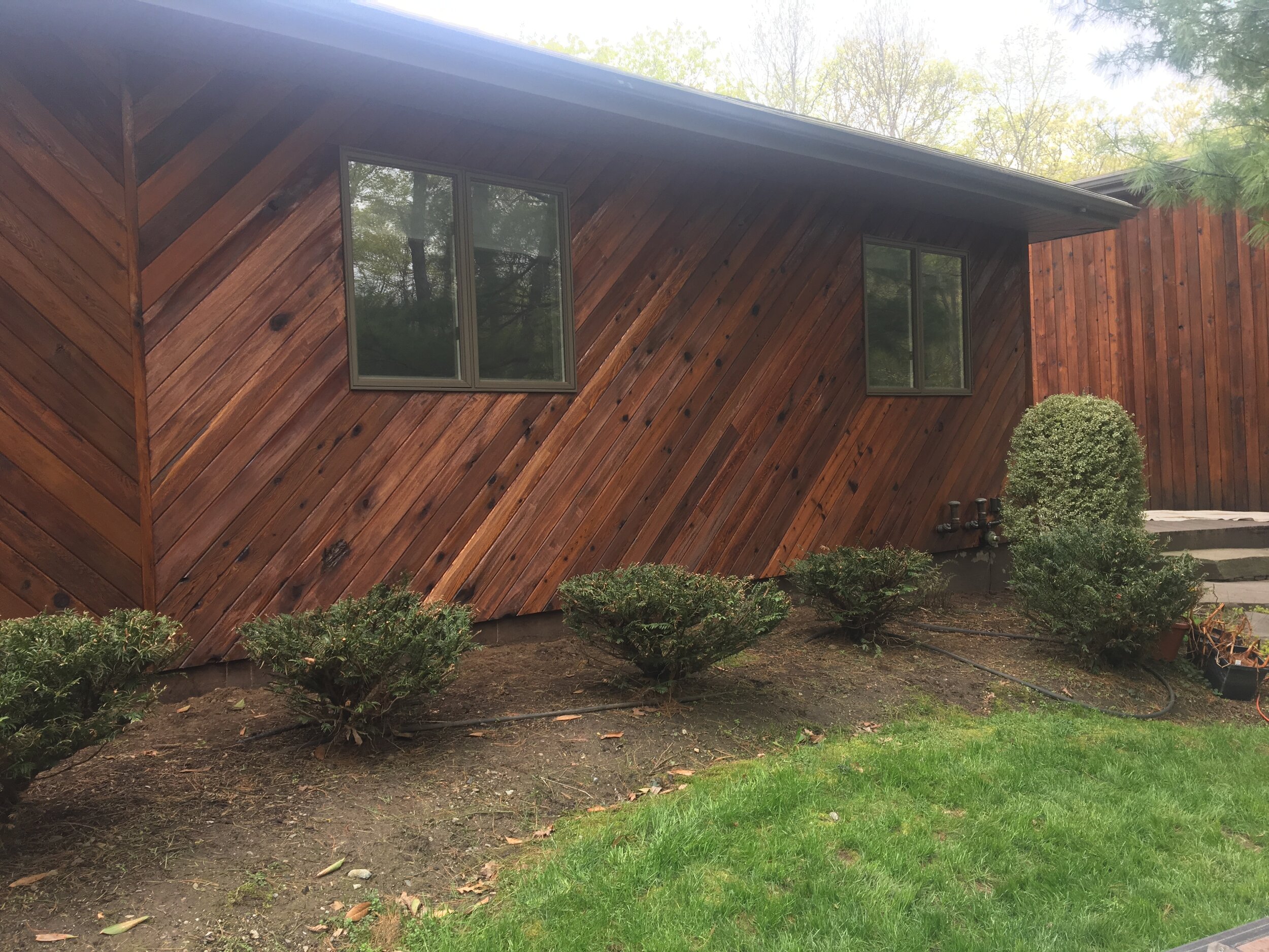 A wooden house with diagonal planks, two windows, small bushes in front, and steps leading to the entrance.