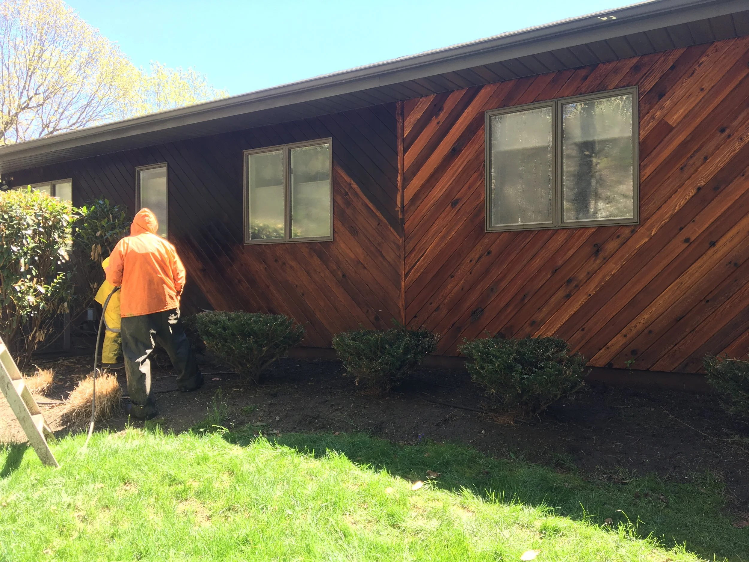 Two people working at a garden beside a wooden house with three windows, one of which is a double window, under a clear sky.