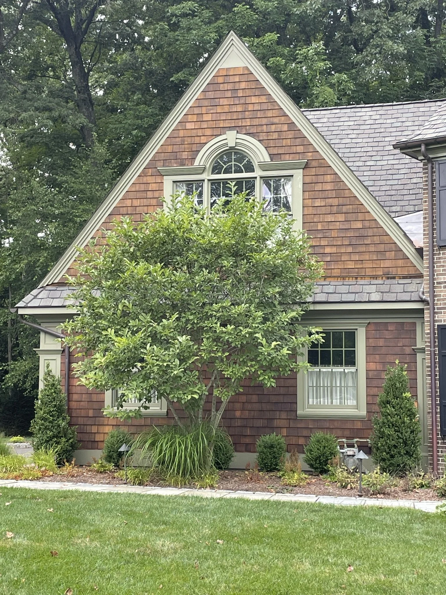 A house with brown shingle siding, a gabled roof, and white window trims. A tree with green leaves grows in front, and there's a well-maintained lawn and small bushes along the foundation.