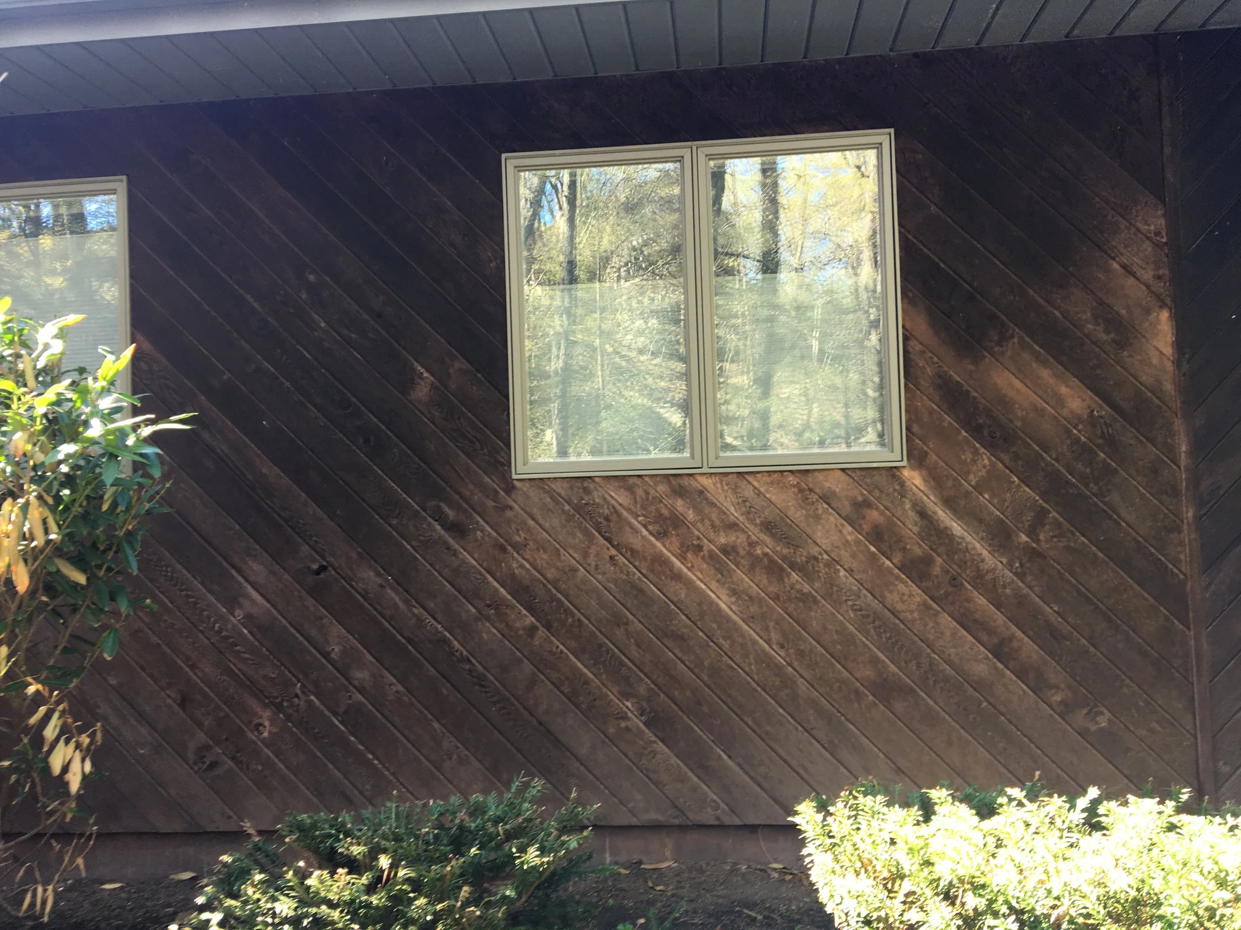 Dark brown wooden exterior wall of a house with two rectangular windows, surrounded by green bushes and plants, with trees visible reflected in the window glass.