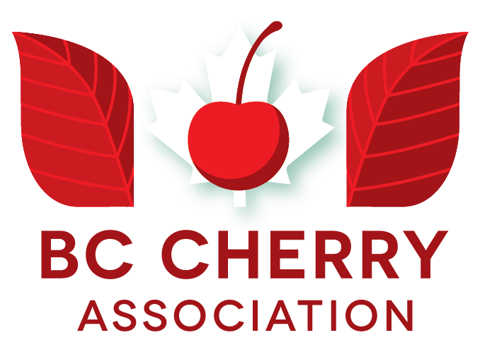 logo-bc-cherry.png