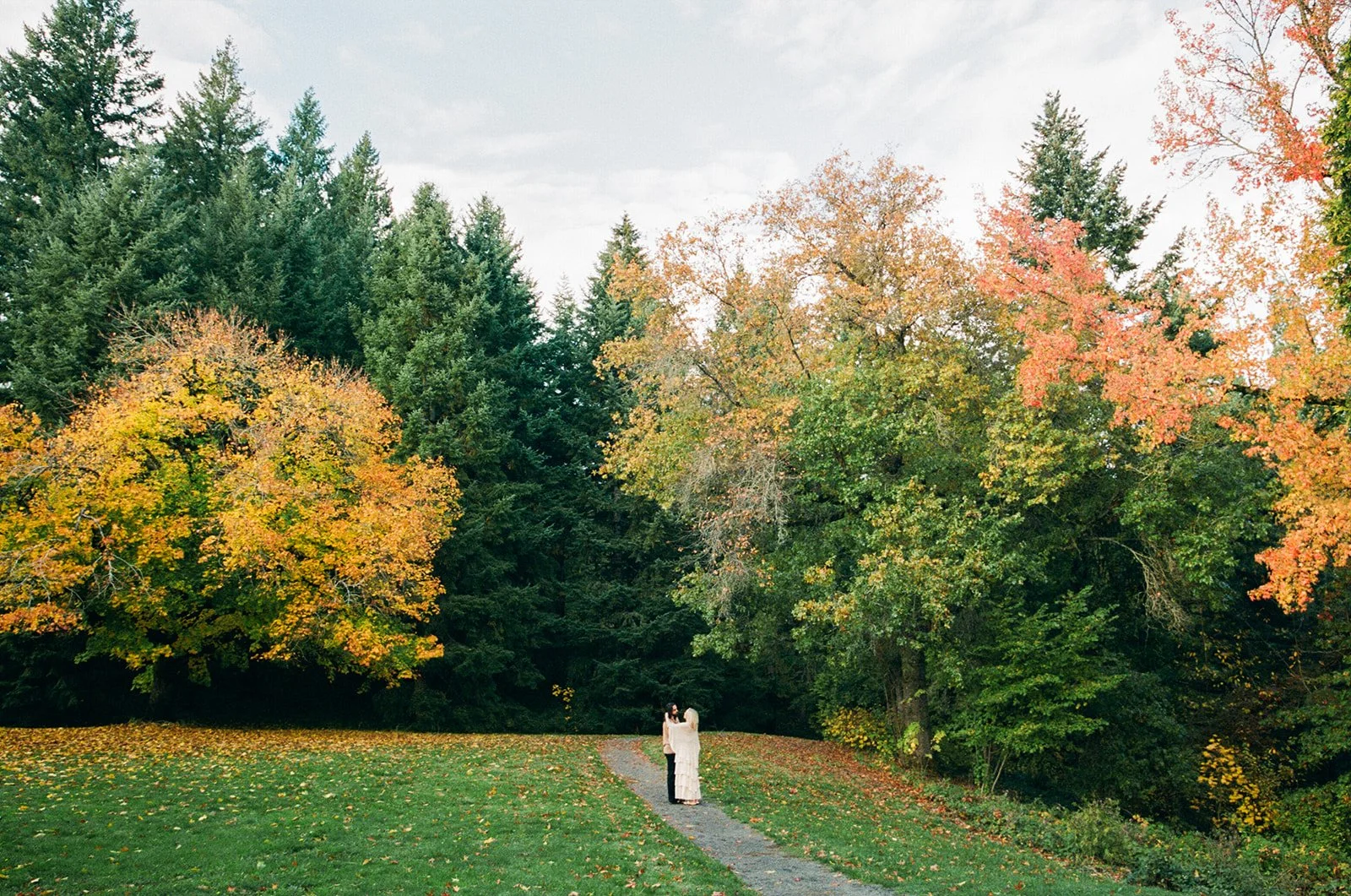 a golden hour at washington park
