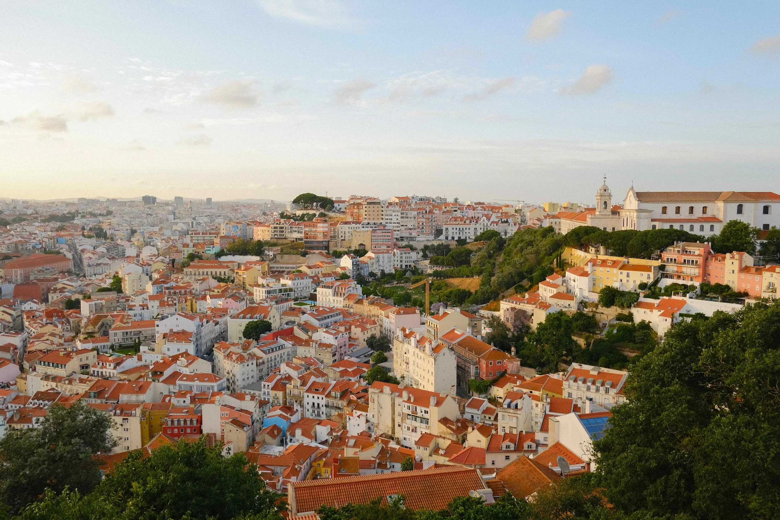orange rooftops and peacocks