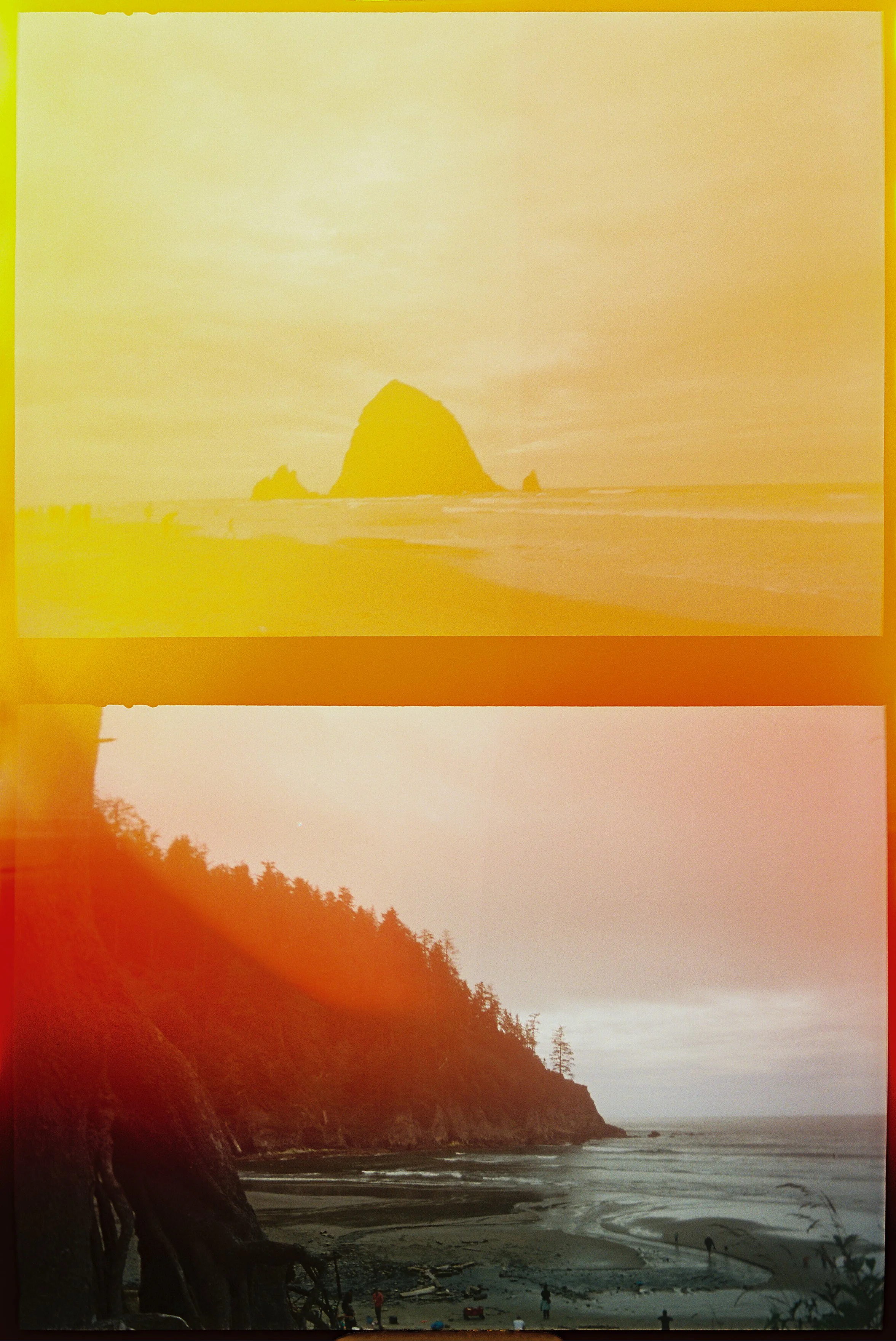 the year of the half frame