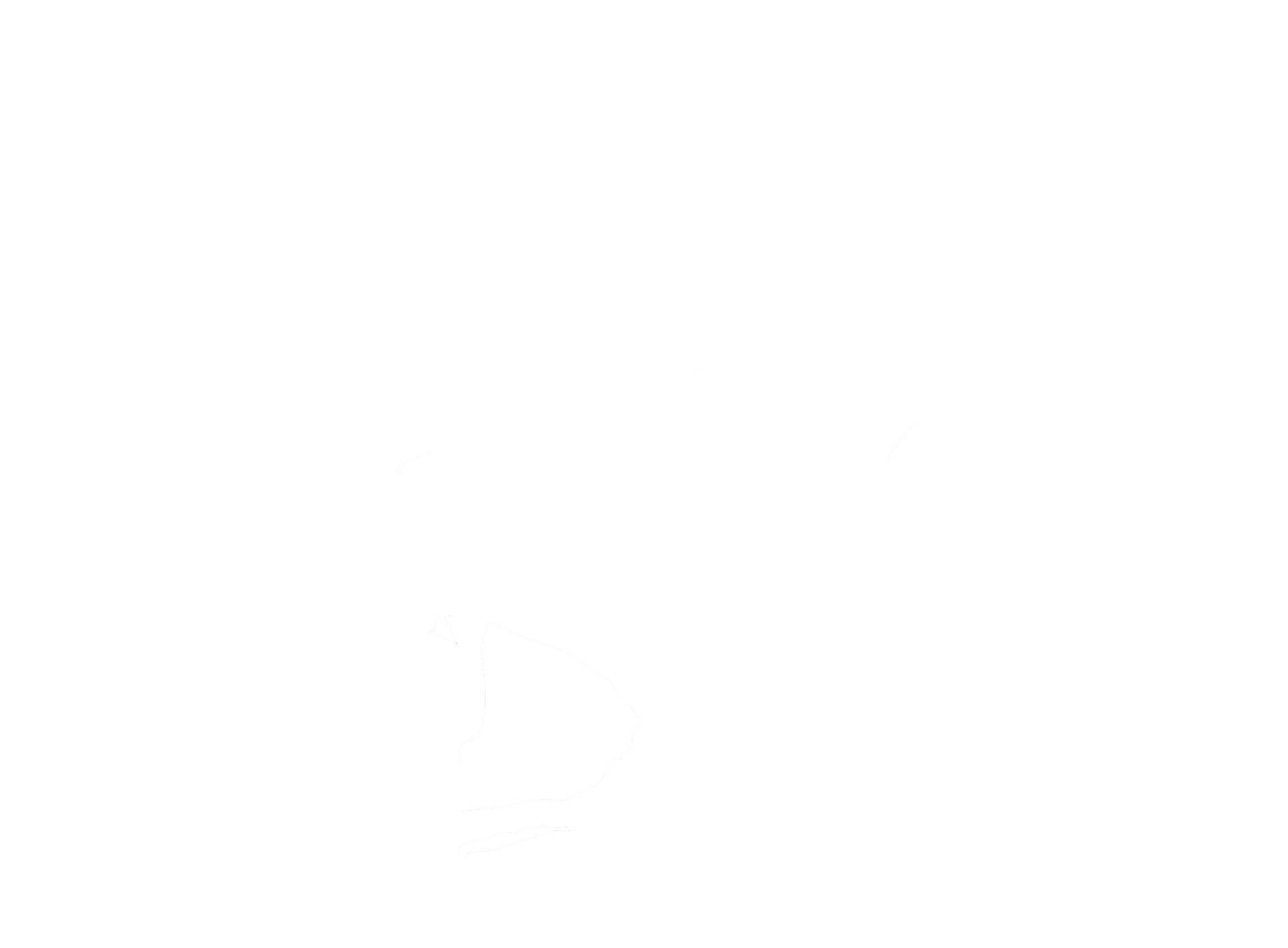 DX DISNEY ART WHITE no background.png