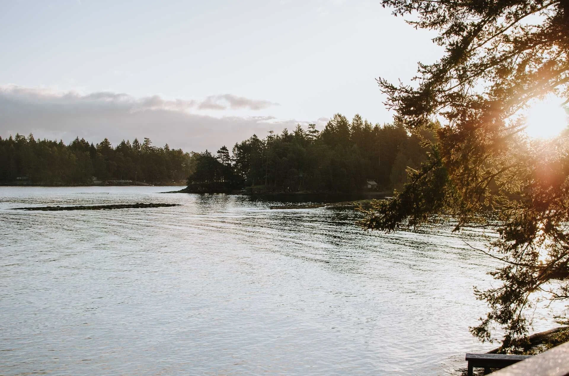 Bakke Wealth Management