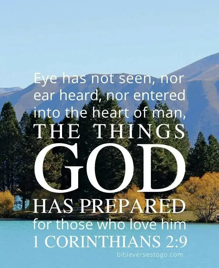 Not Worthy to Be Compared