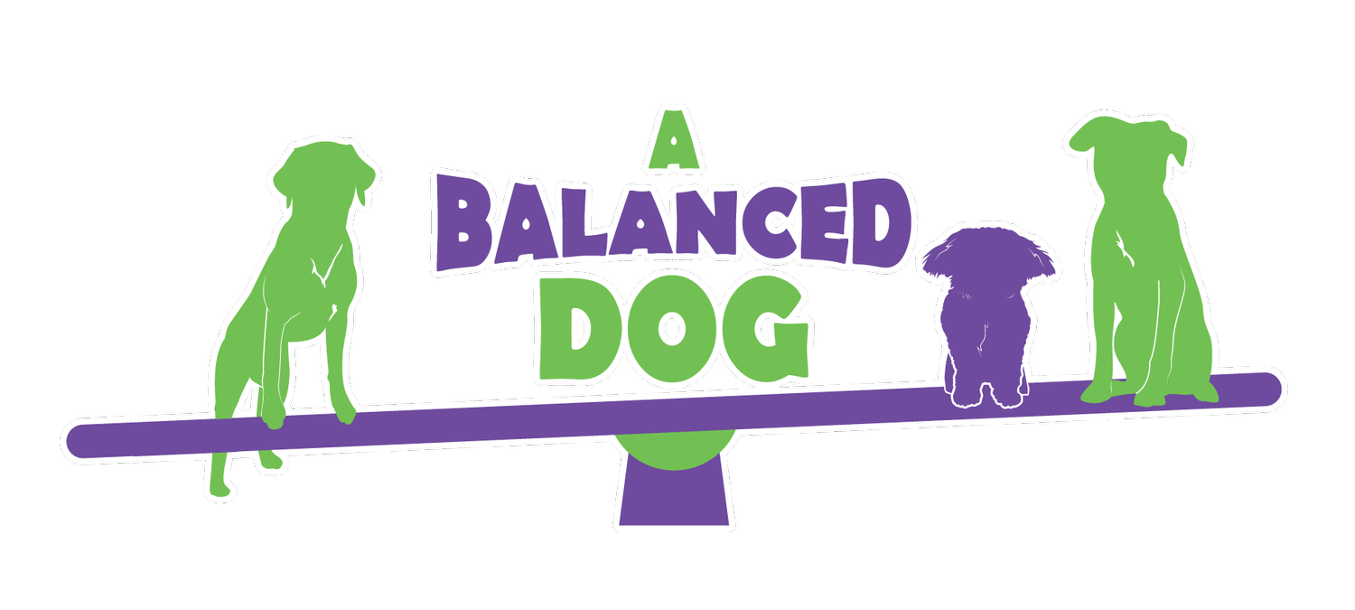 A Balanced Dog LLC