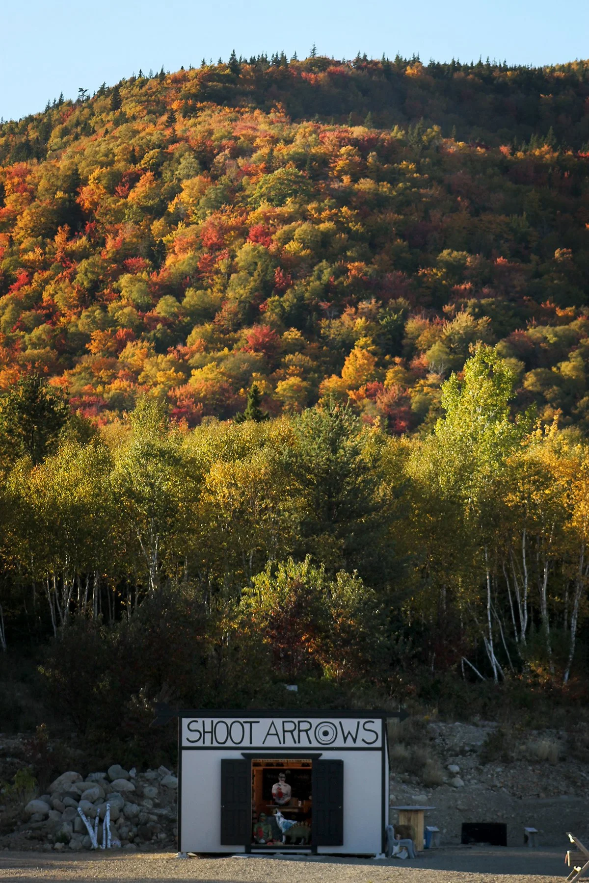 FALL.jpg