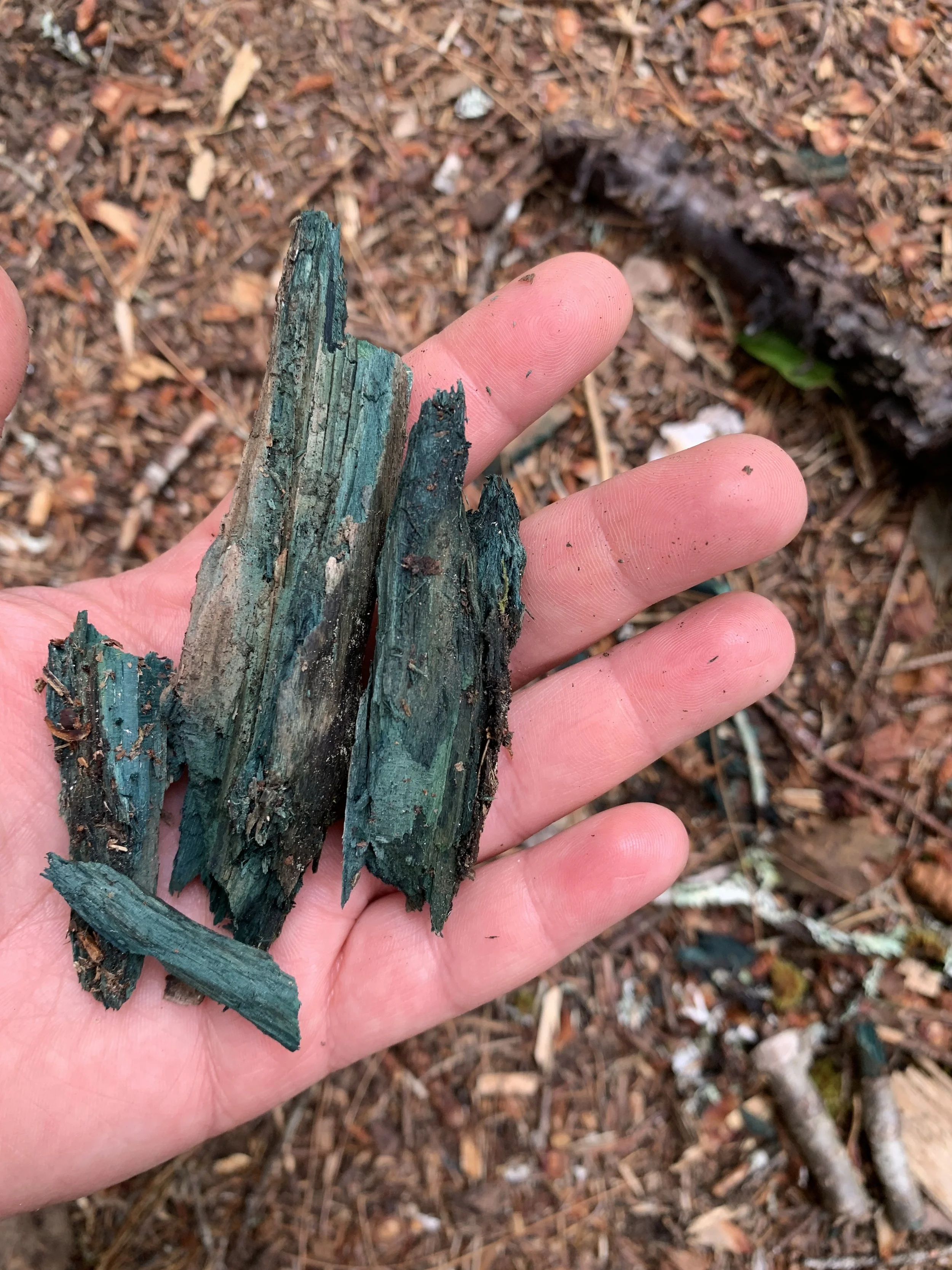 Blue-Green Stained Wood