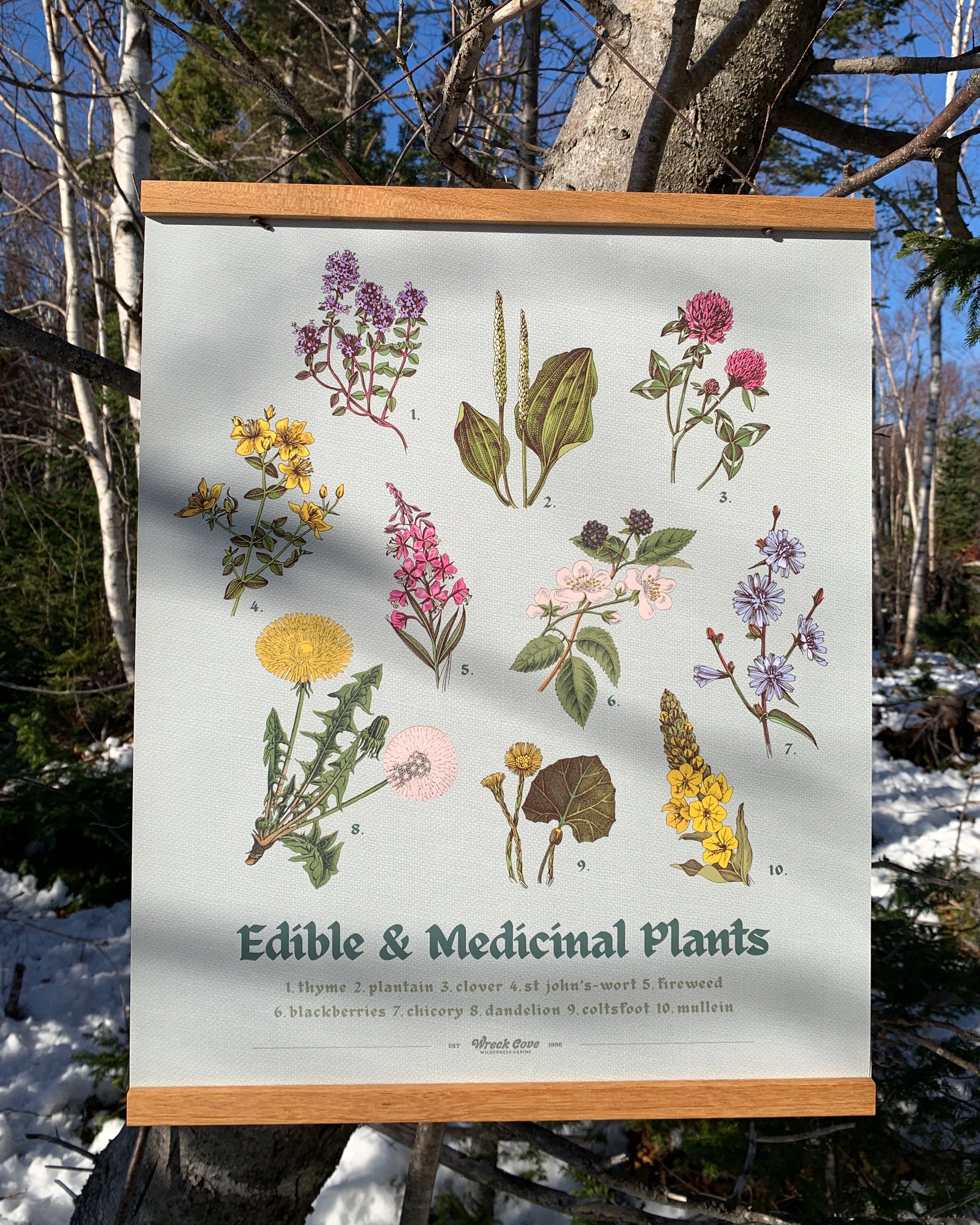 Botanical Plants Poster