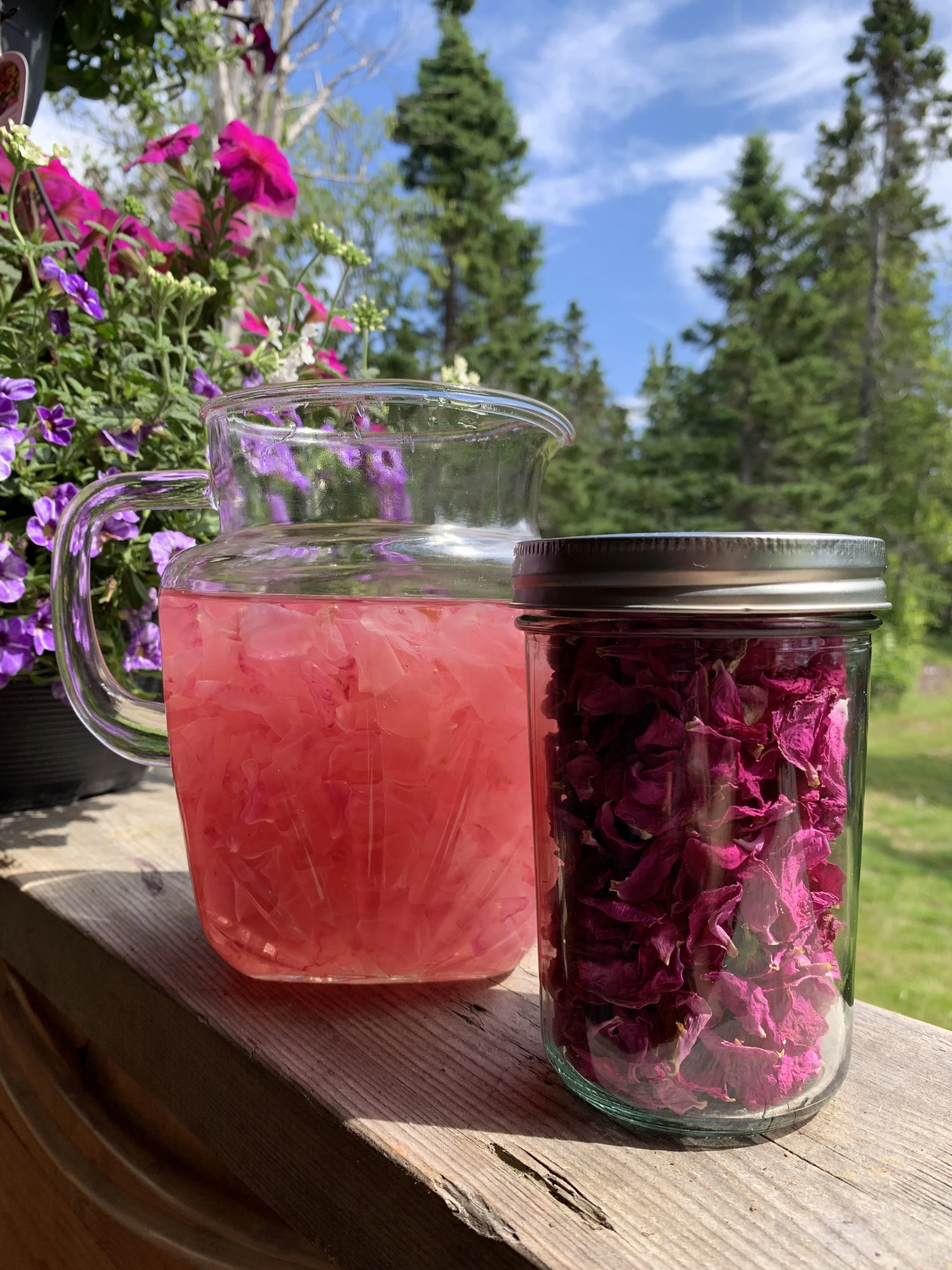ROSE LEMONADE