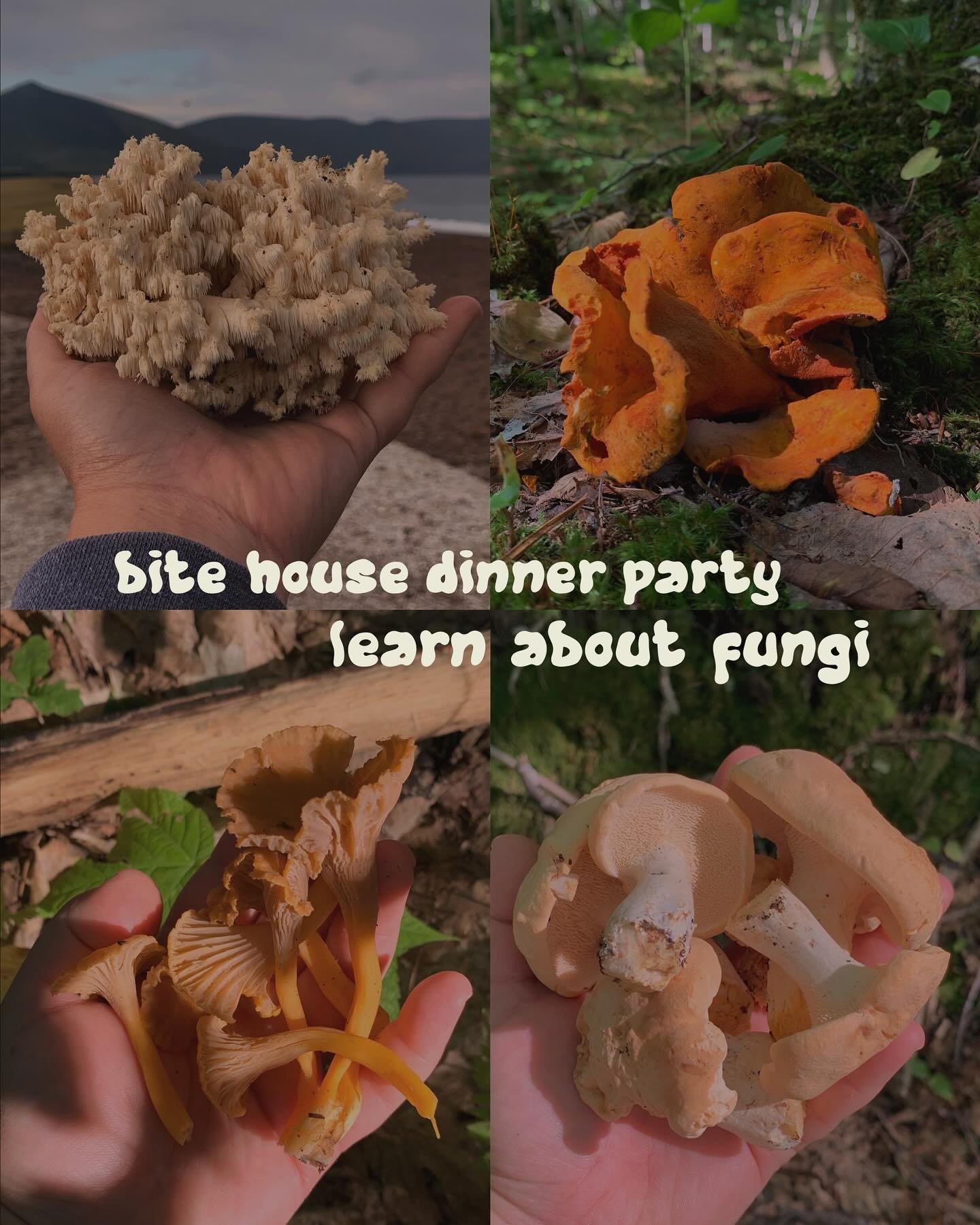 Saturday October 12! We just opened up a few more spots and there are 4 tickets left for this foraging inspired Dinner Party.

🍂 check out this amazing @bitehouse menu!
🍄&zwj;🟫 go to my website for more details!

Really looking forward to this. Me