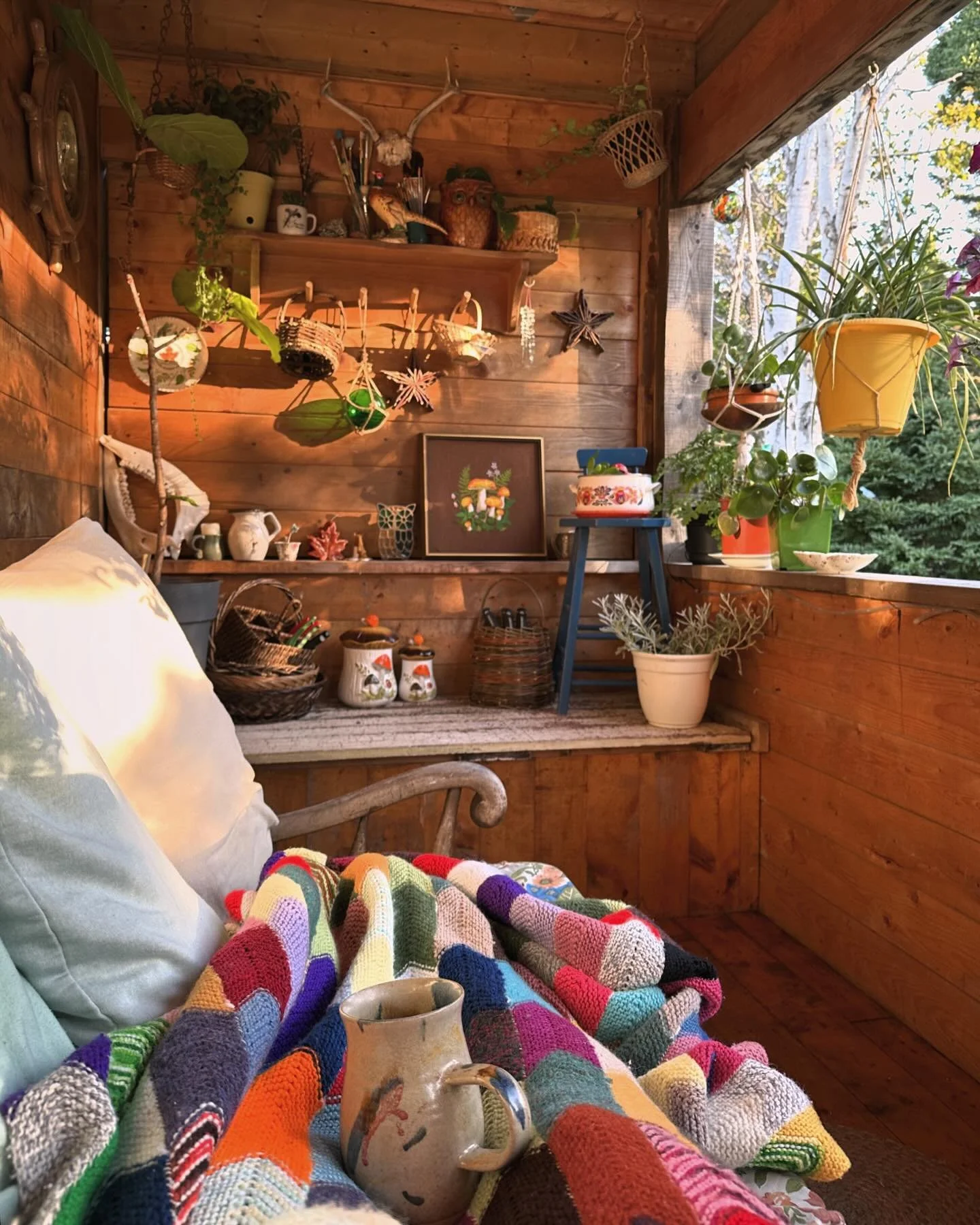 My guests had a fire in the wood stove last night and I needed a blanket on me for coffee this morning. Bittersweet!! 🌿🍃🍂🍁

Soon my dopamine deck is going to get taken down, the wall will be unhatched and my tractor bucket will be stuck in it loa