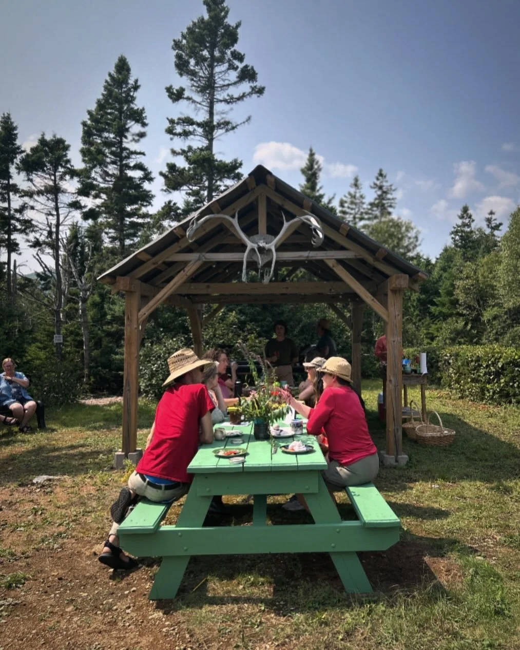 Excited to meet back at the picnic tables this weekend to learn how to press flowers, eat some snacks and try a list of lovely drinks made from edible plants 🌱 #capebreton