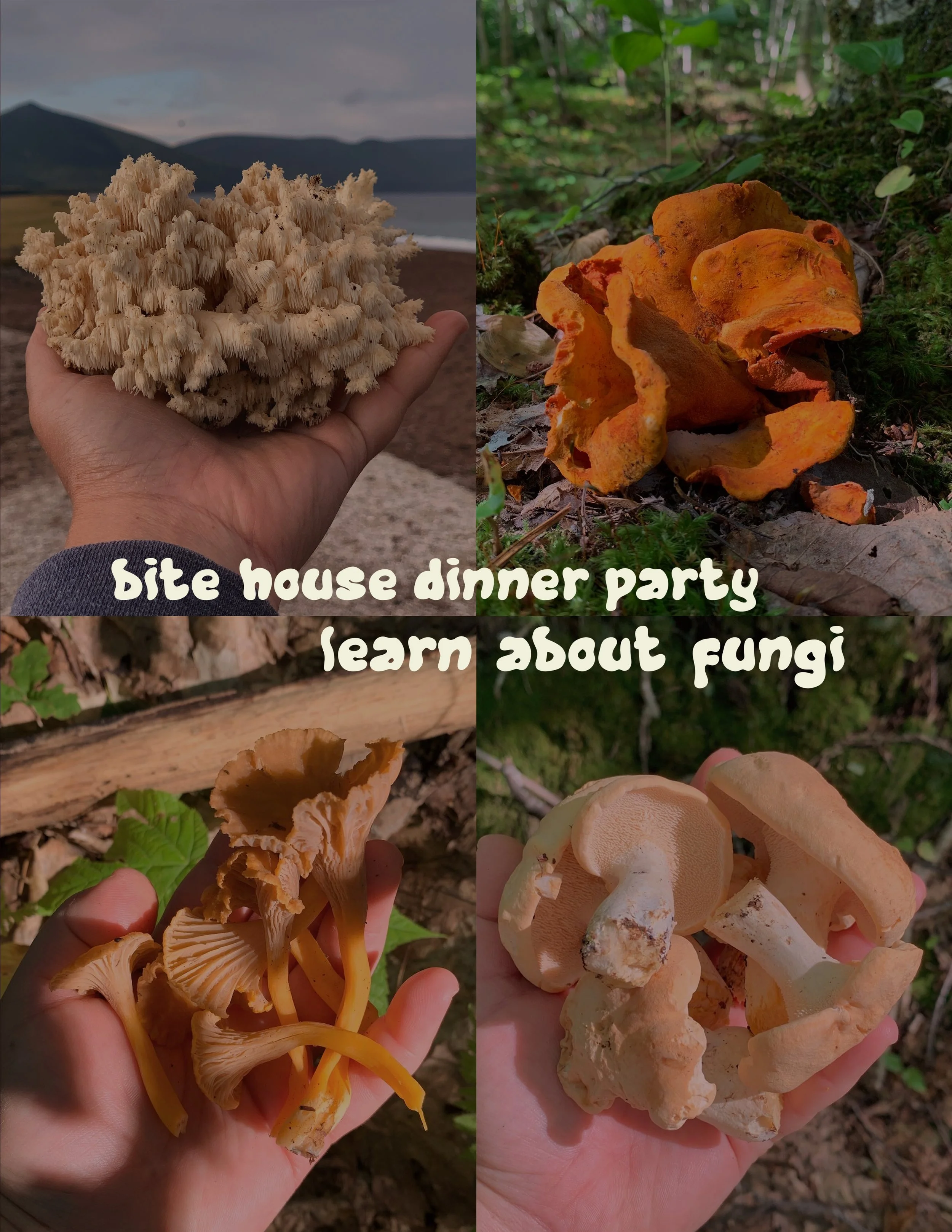 Bitehouse Fungi Dinner Party