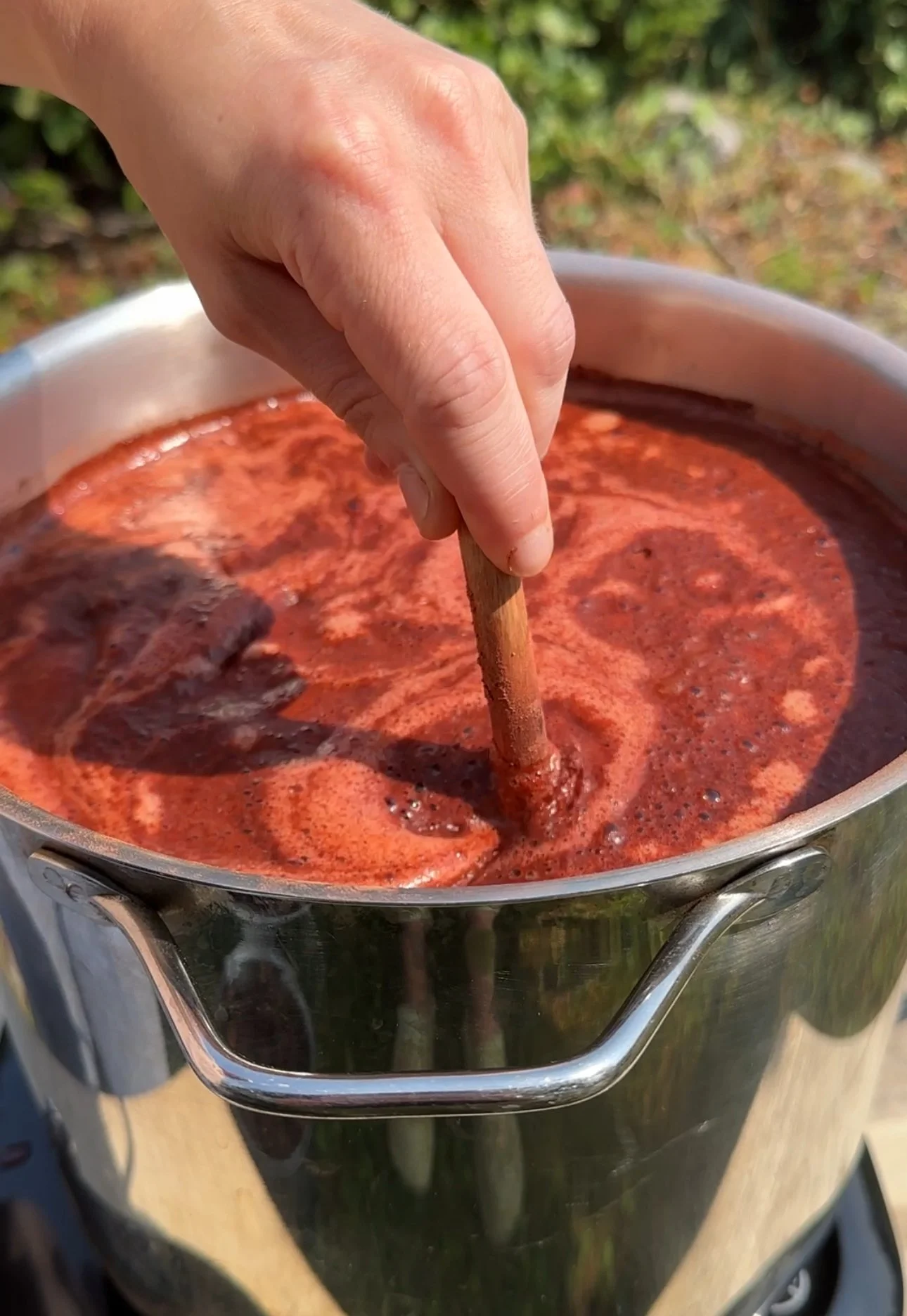 Madder Root