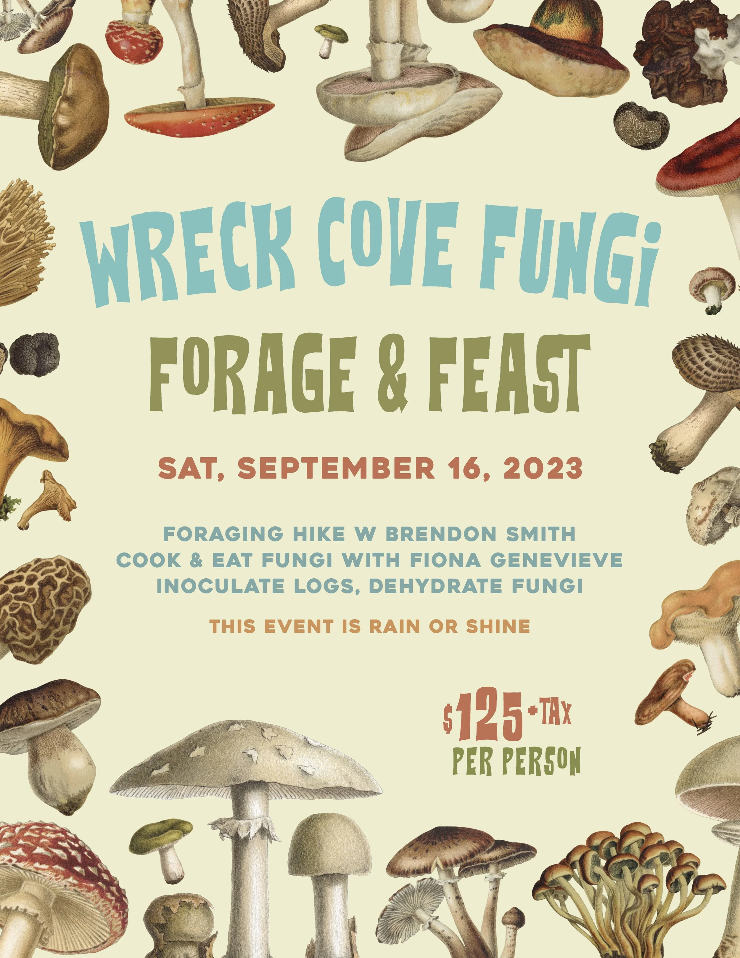 Fungi Forage &amp; Feast