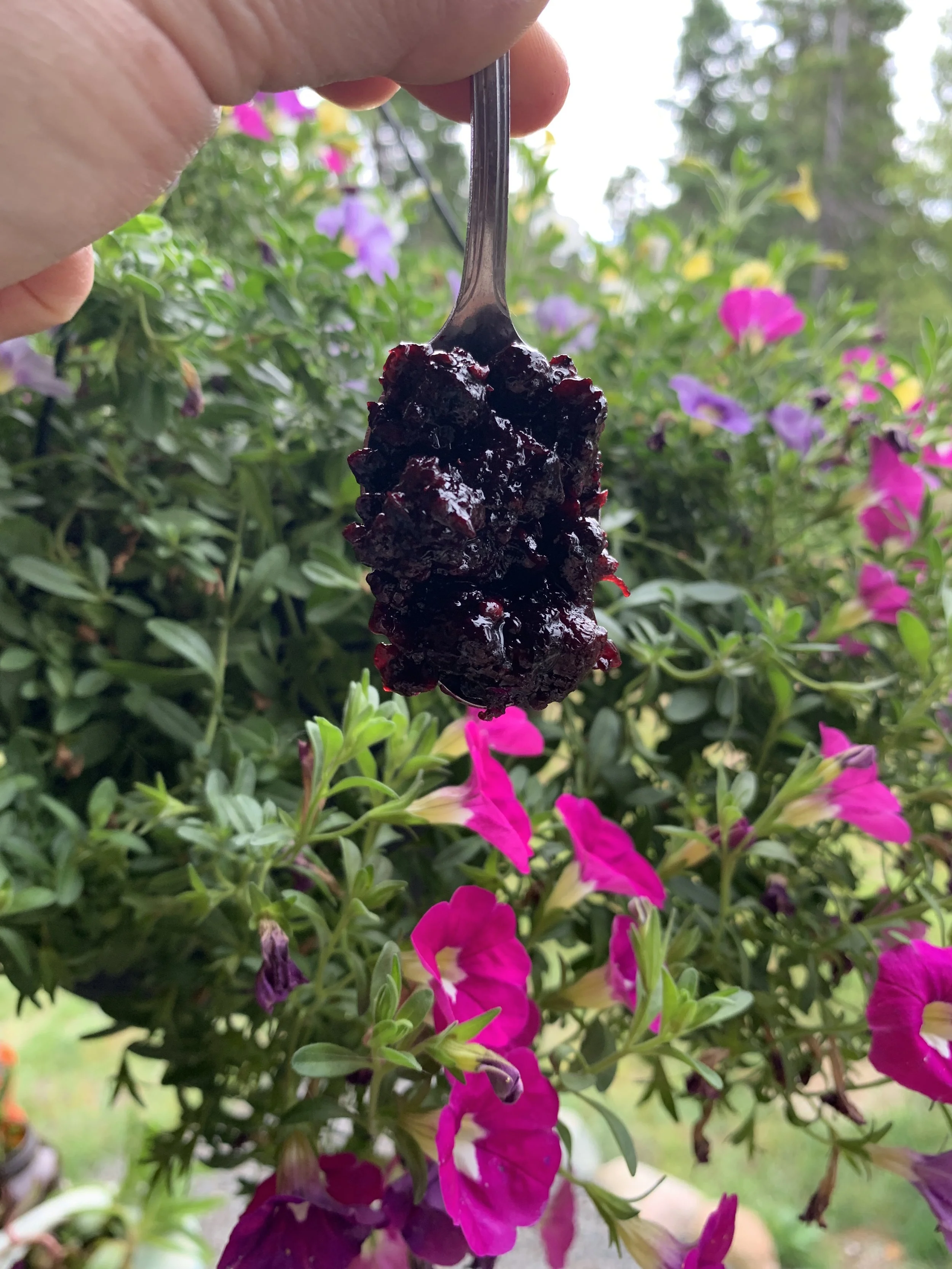 FORAGED BERRY &amp; LIME JAM