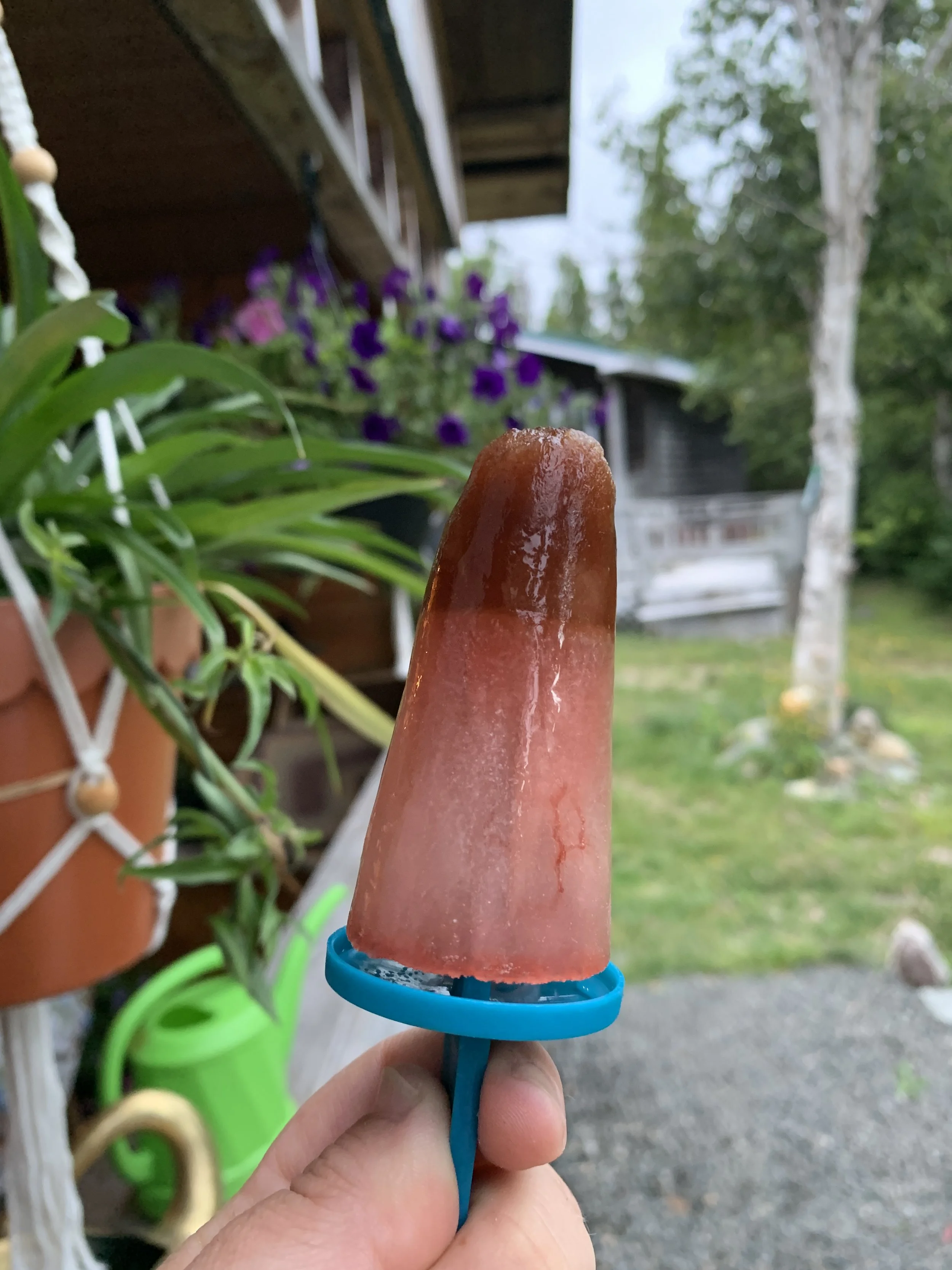 ROSEY ROSEHIP POPSCICLES 