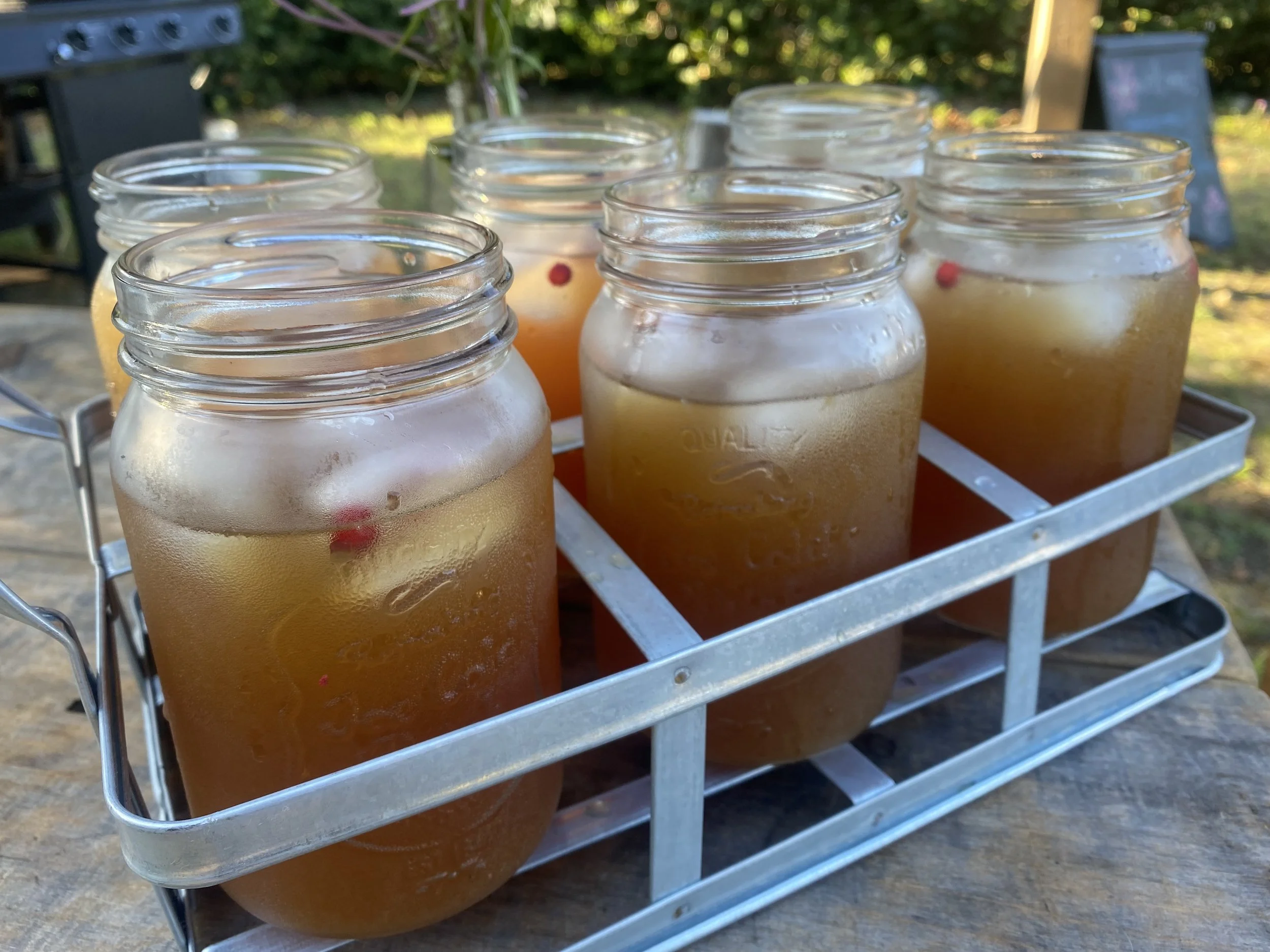 Pineappleweed &amp; Ginger Iced Tea
