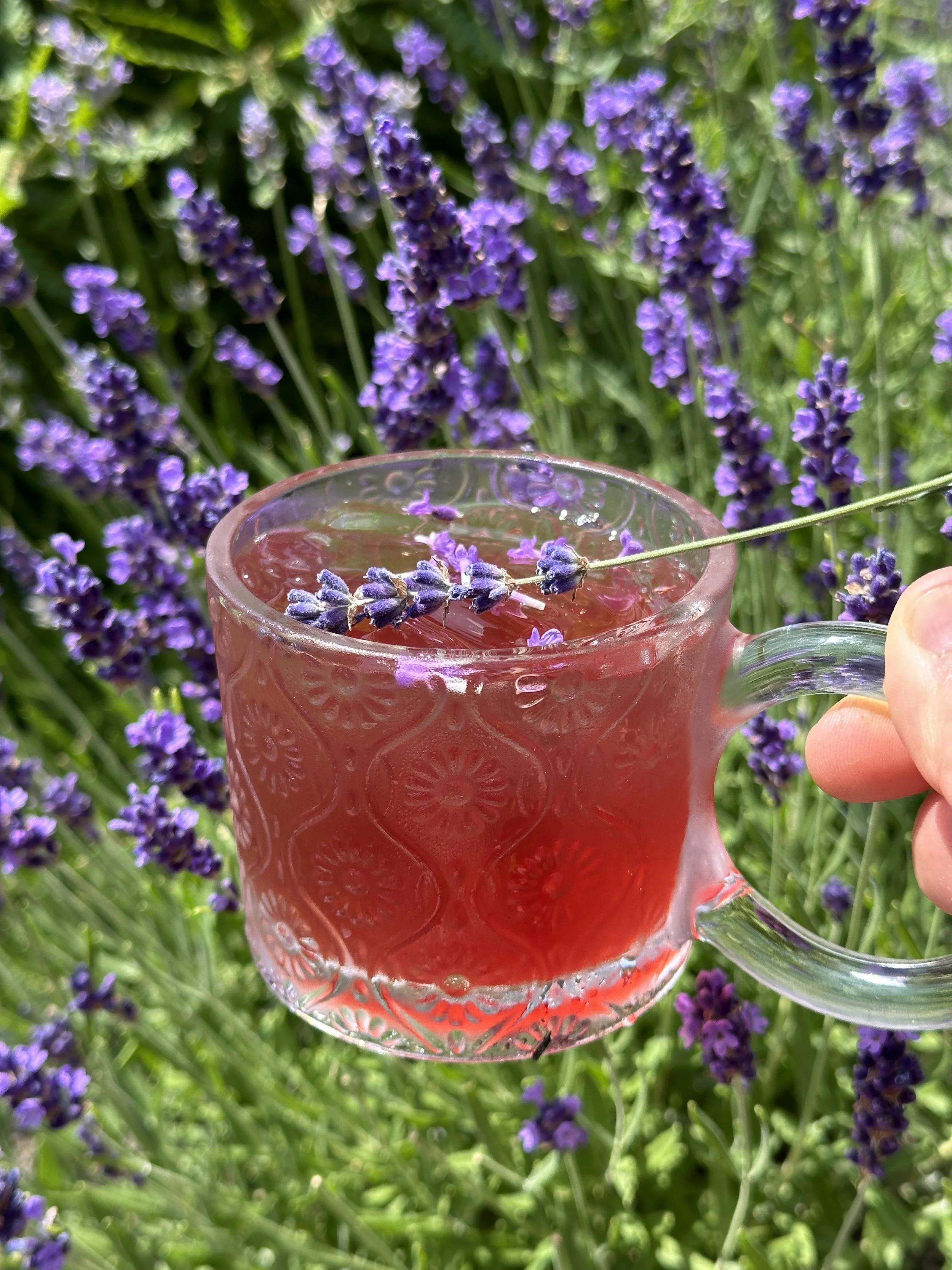 Crowberry &amp; Lavender Iced Tea