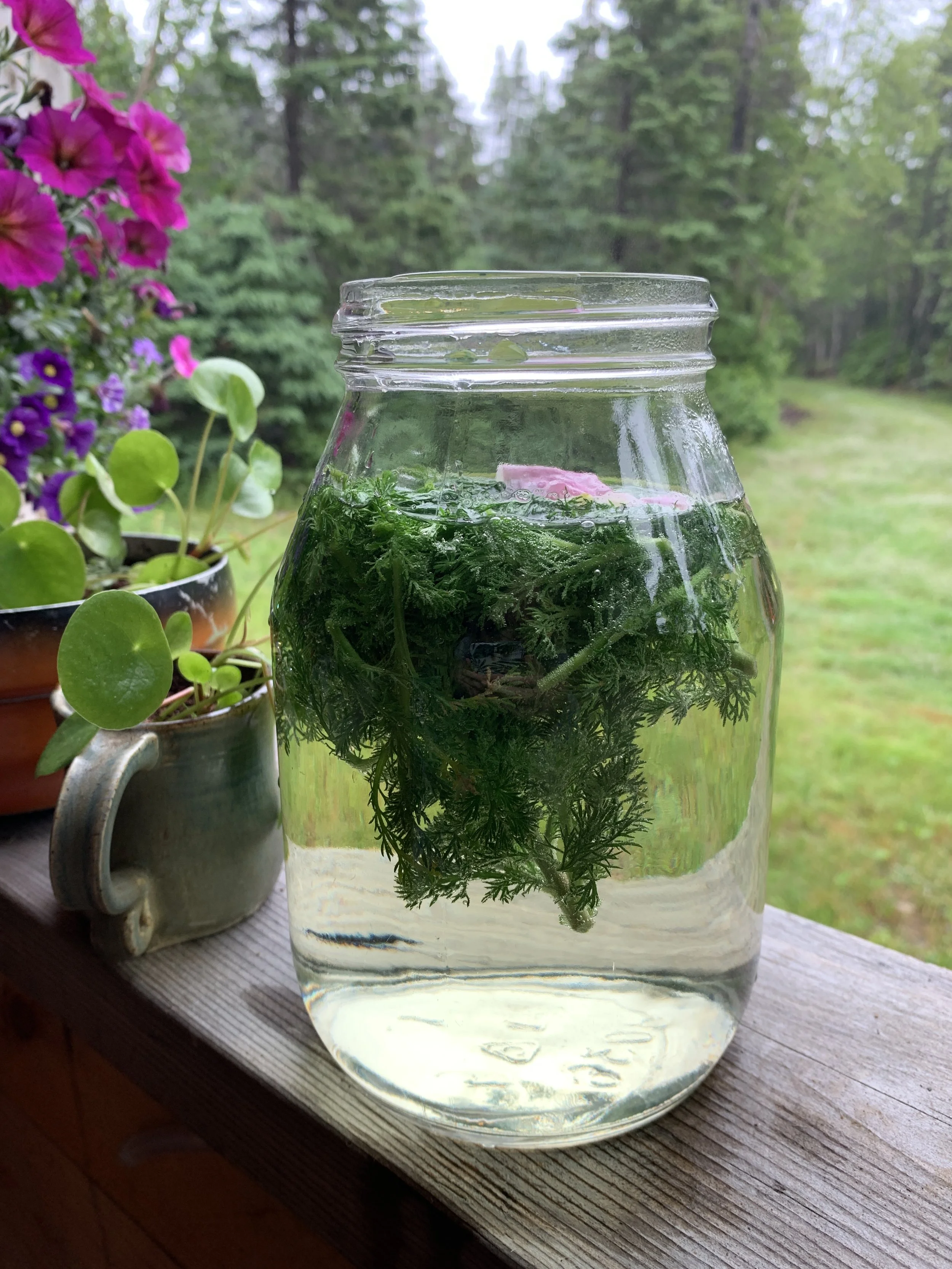 Hot &amp; Cold Brewing